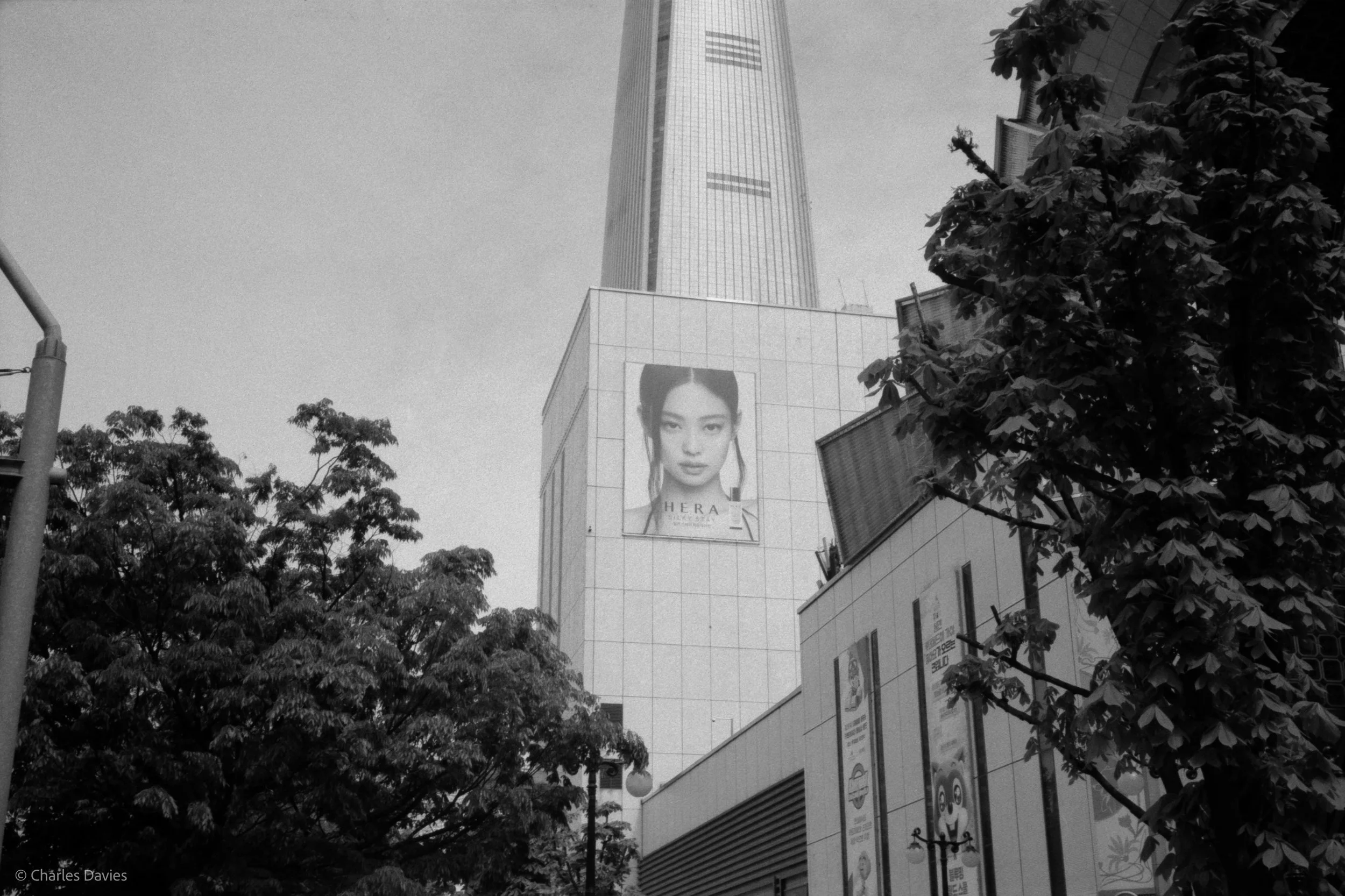 Roll 9 - 2023 - South East Asia - South Korea - Seoul - Kentmere Pan 400 - Olympus 35DC - 35mm - Film - B&W 