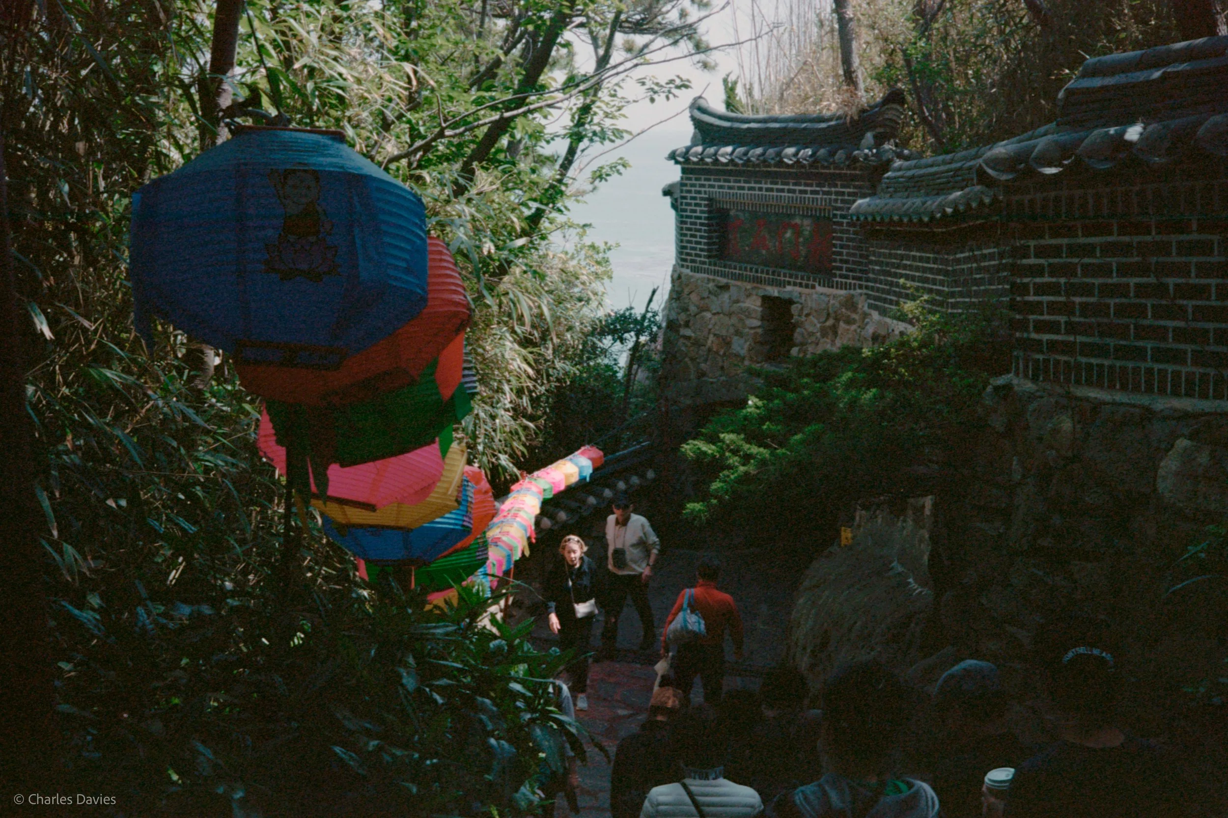 Roll 6 - 2023 - South East Asia - South Korea - Busan - Kodak Portra 160 - Olympus 35DC - 35mm - Film - Colour 