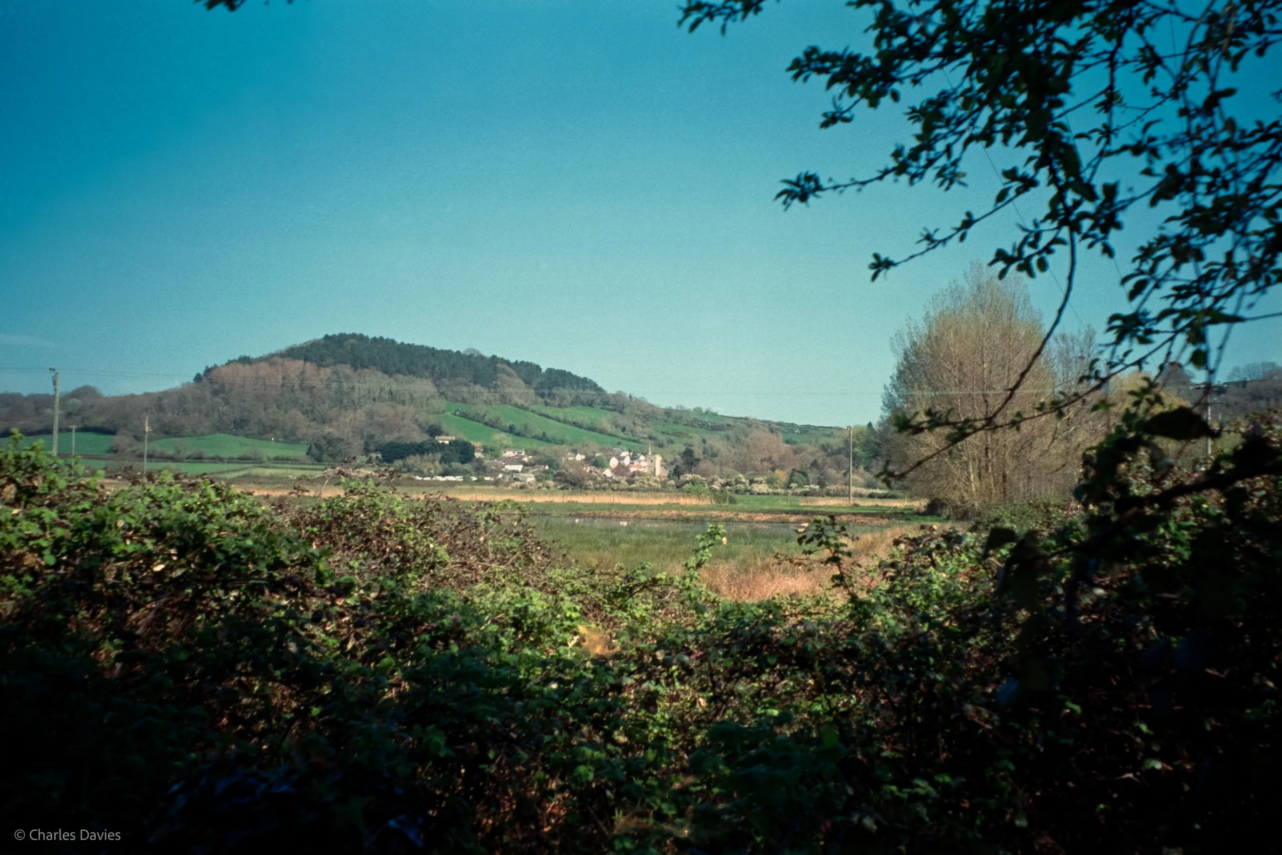 Shot 13 - Auto - Seaton Wetlands 
