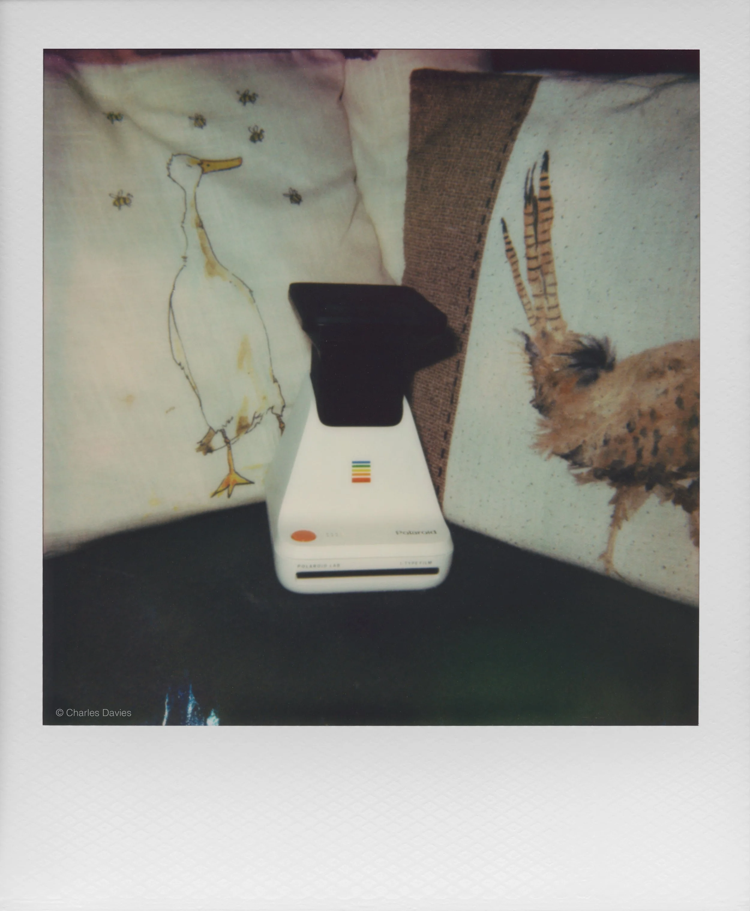 73 - 2025 - Polaroid Autofocus 660.jpg