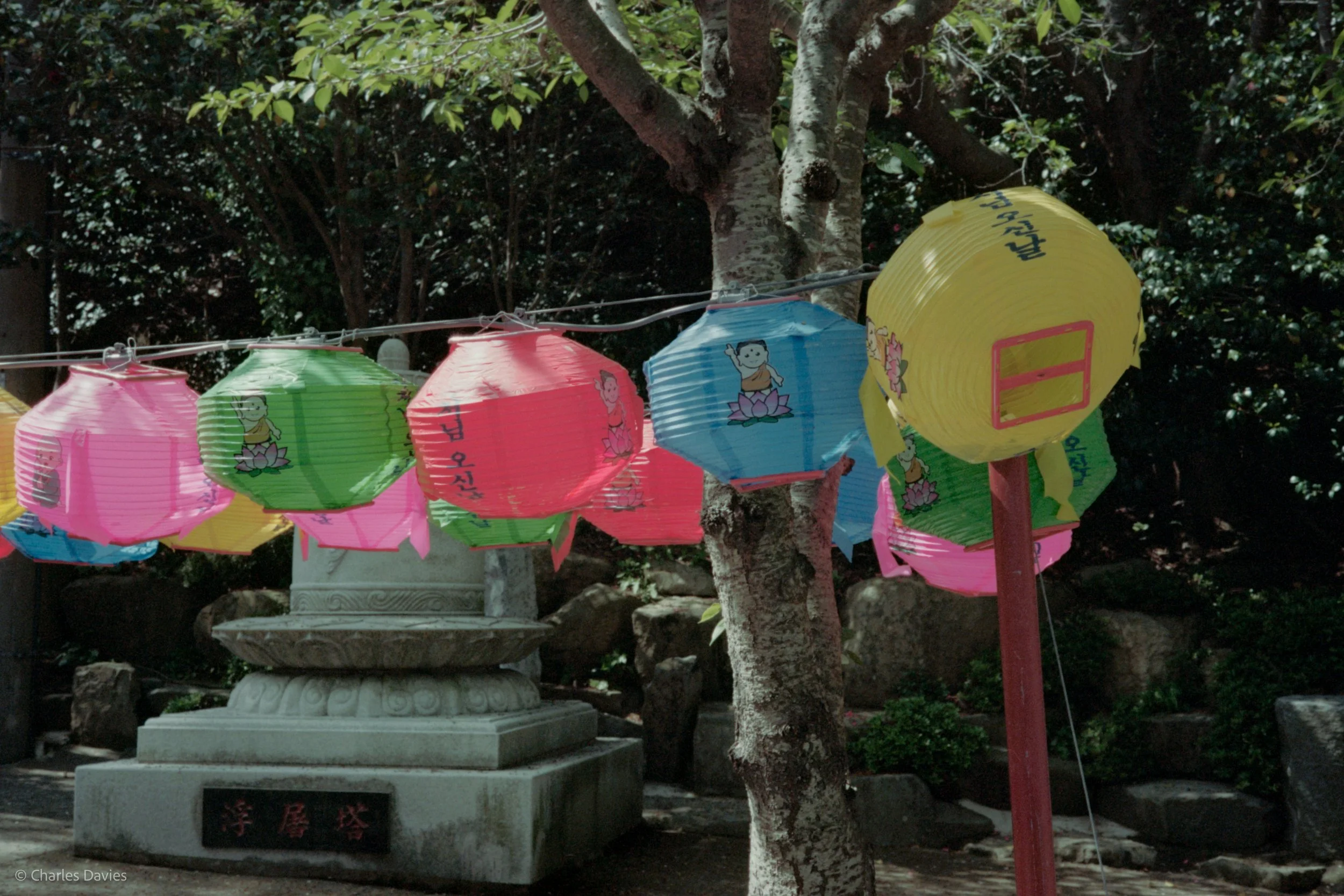 Roll 6 - 2023 - South East Asia - South Korea - Busan - Kodak Portra 160 - Olympus 35DC - 35mm - Film - Colour 