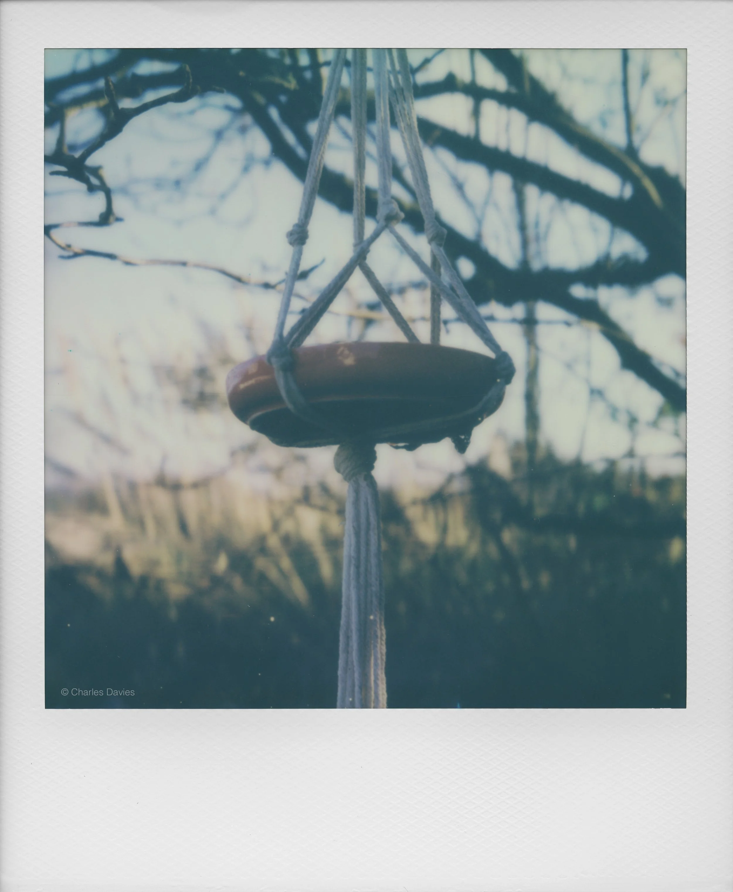 94 - 2022 - Polaroid SX-70.jpg