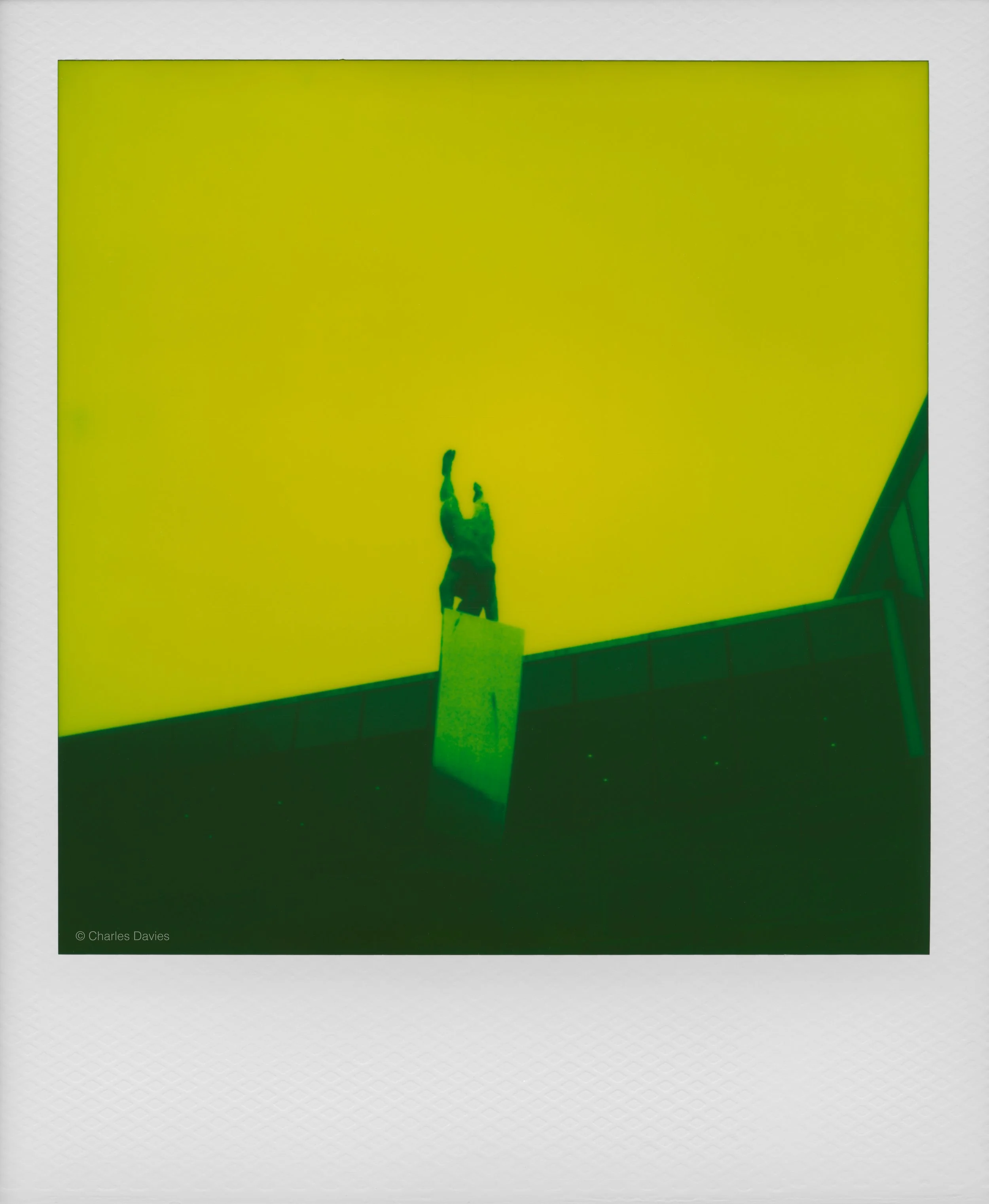 36 - 2025 - Polaroid SX-70 Sonar.jpg