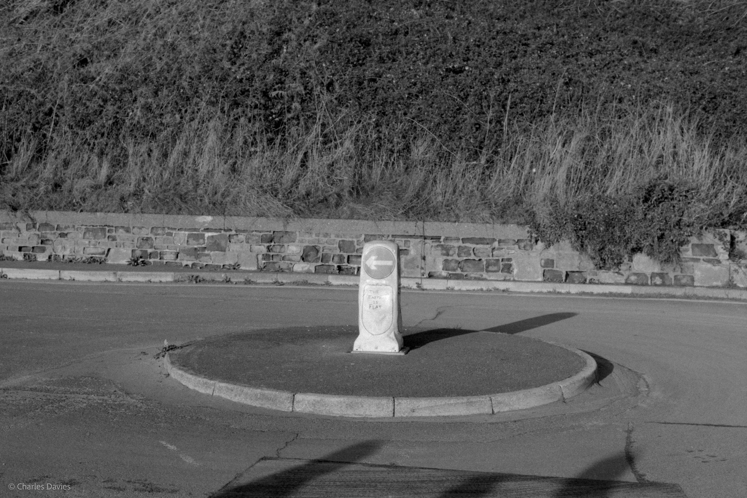 031.jpg