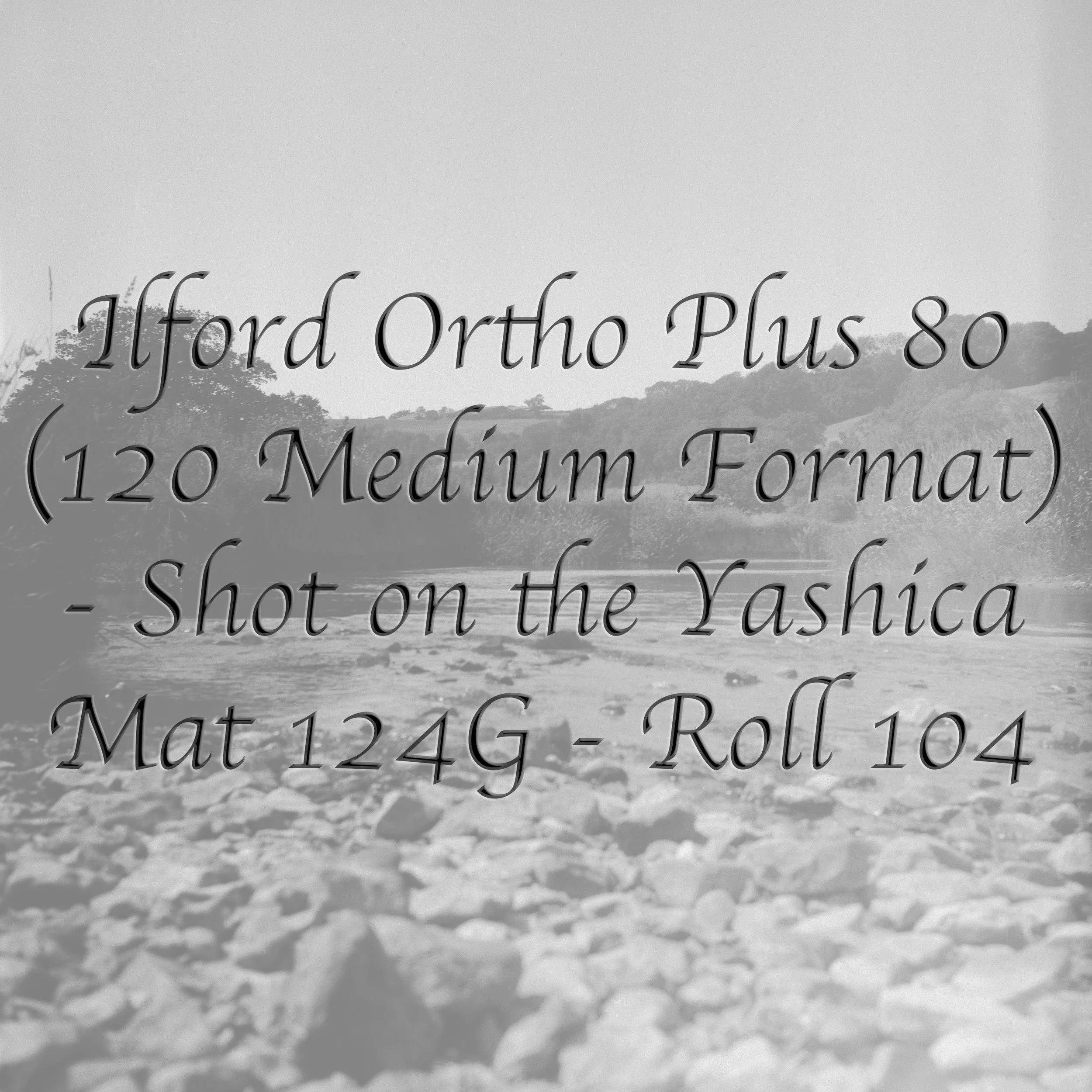 Ilford Ortho Plus 80 (Medium Format) - Roll 104