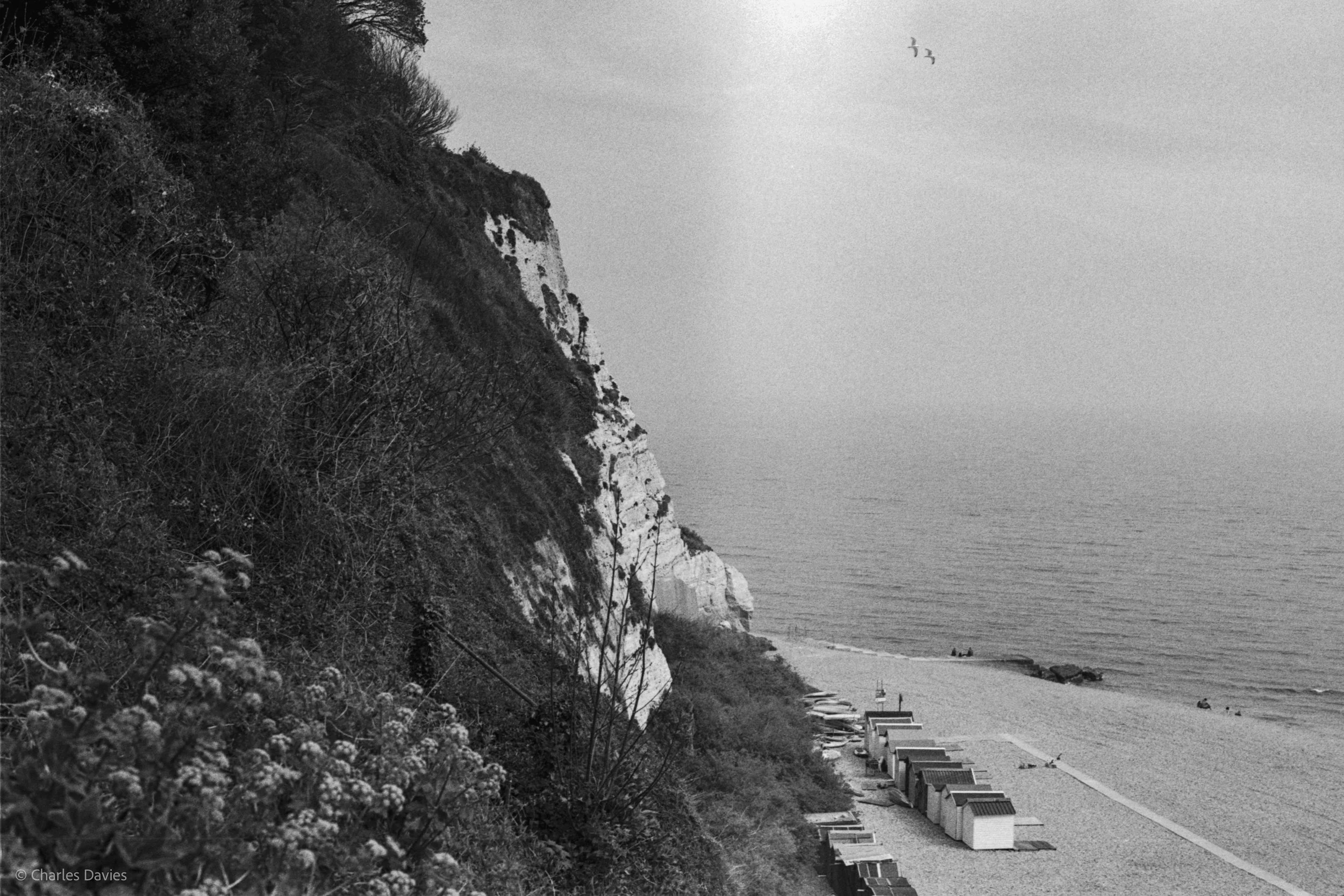Roll 27 - 2025 - Europe - United Kingdom - Beer - Ilford HP5 Plus 400 - Contax RTS - 35mm - Film - B&W 