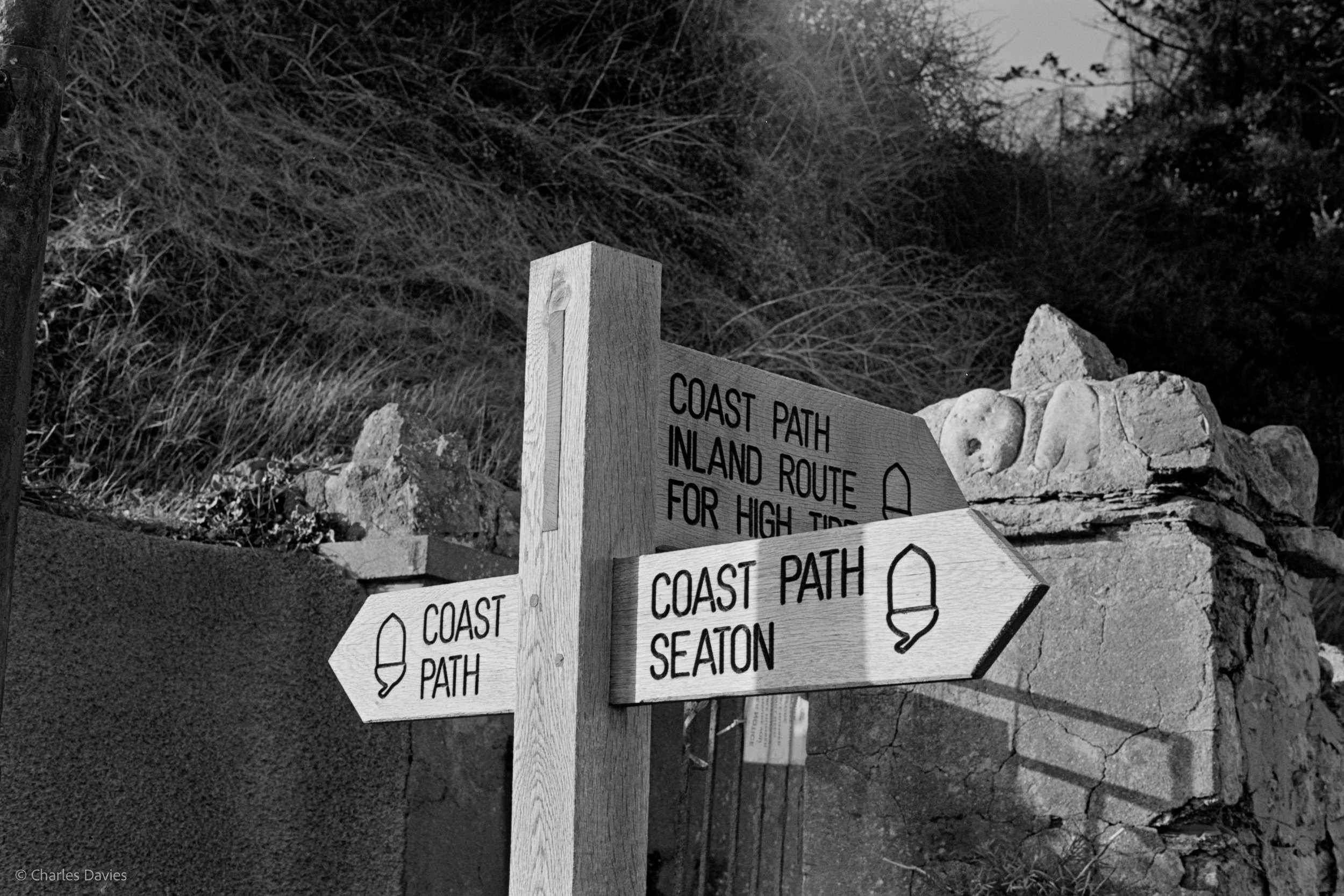 Shot 20 - F/11 + 1/125th - Seaton 