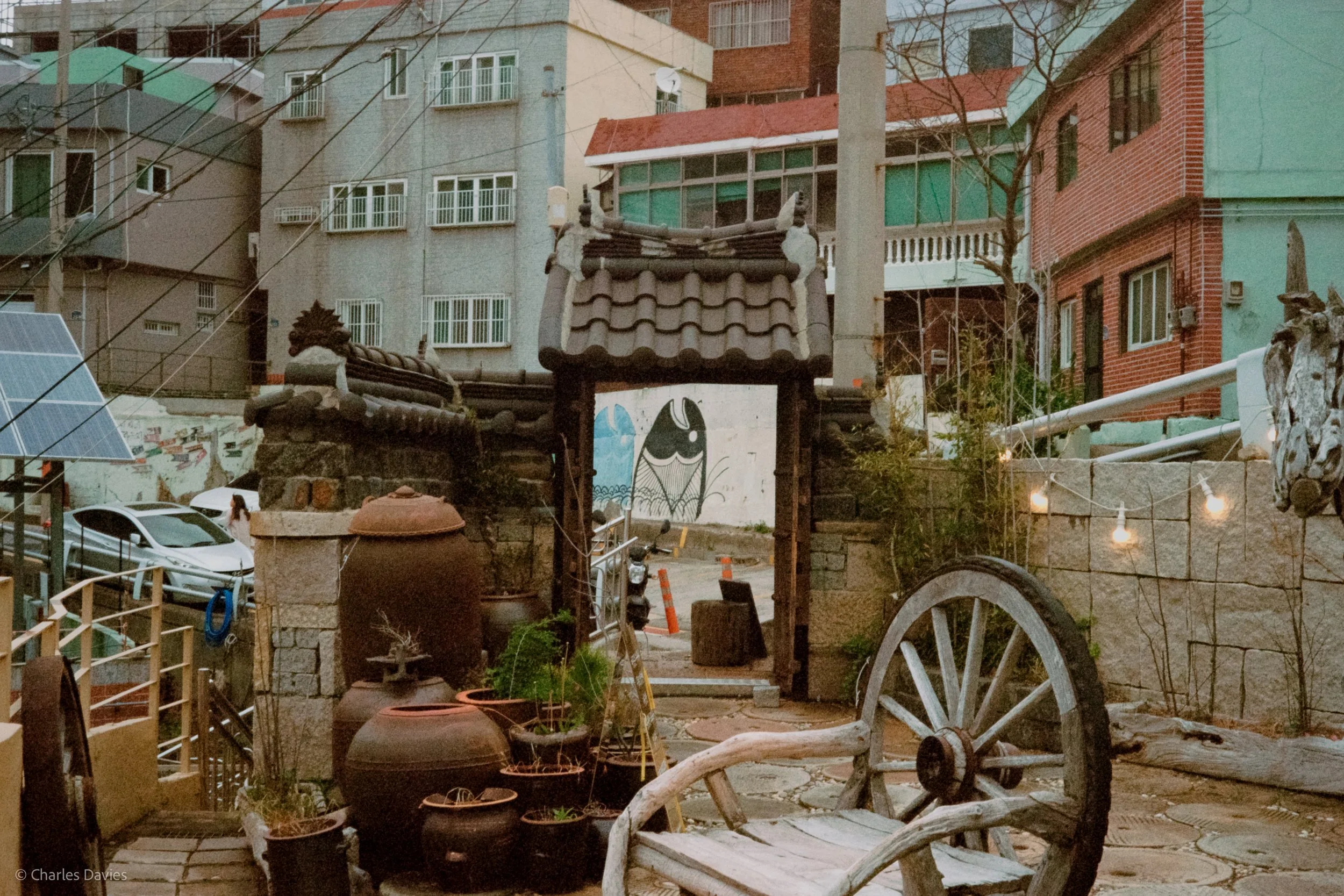 Roll 7 - 2023 - South East Asia - South Korea - Busan - Kodak UltraMax 400 - Olympus 35DC - 35mm - Film - Colour 