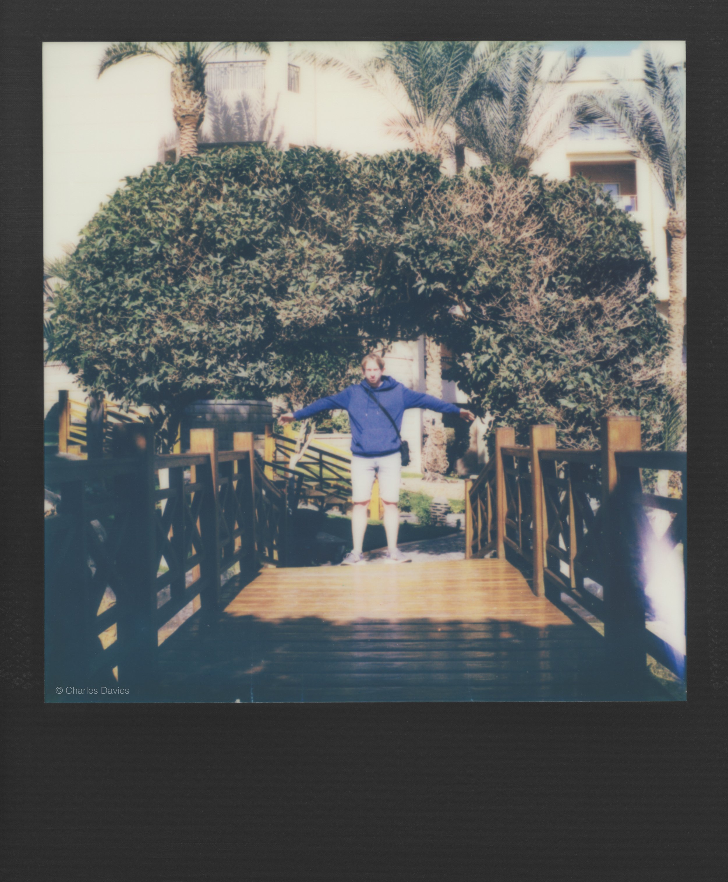 30 - 2023 - Polaroid SX-70.jpg