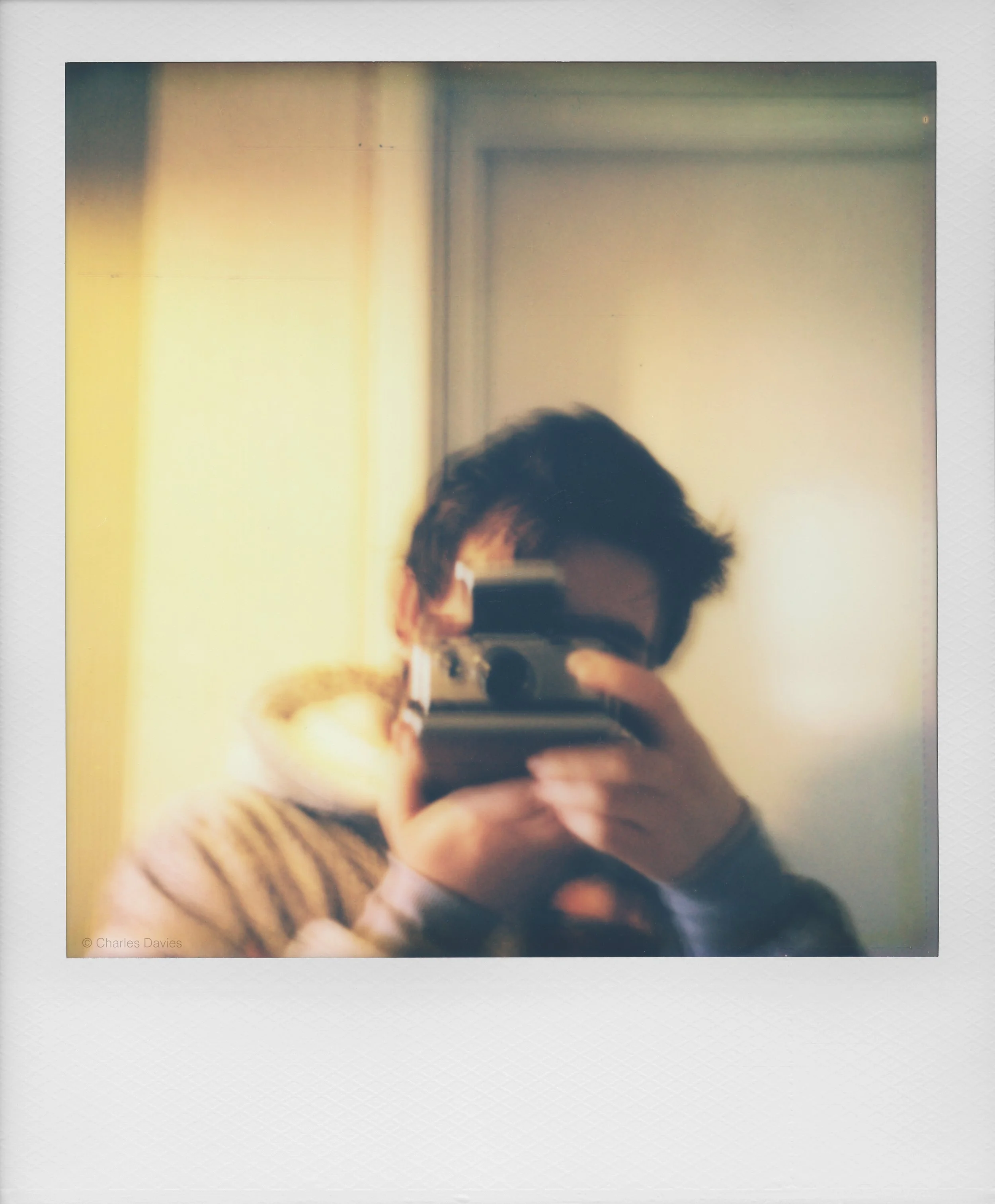 47 - 2022 - Polaroid SX-70.jpg