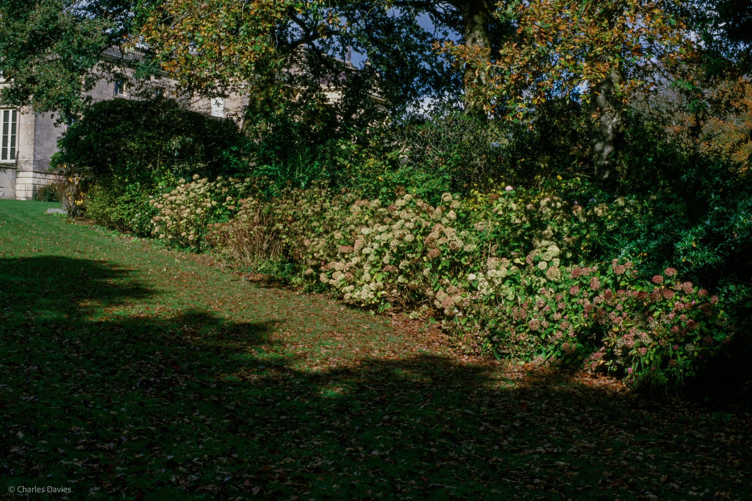 009.jpg