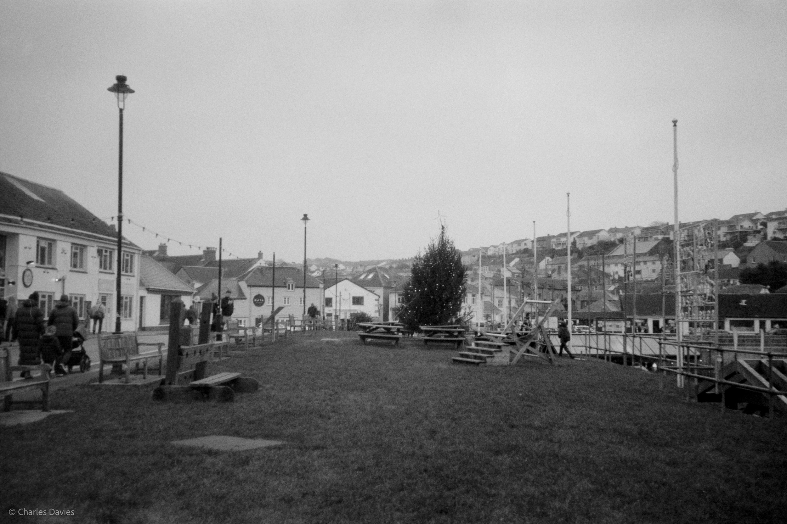 Image-12.jpg