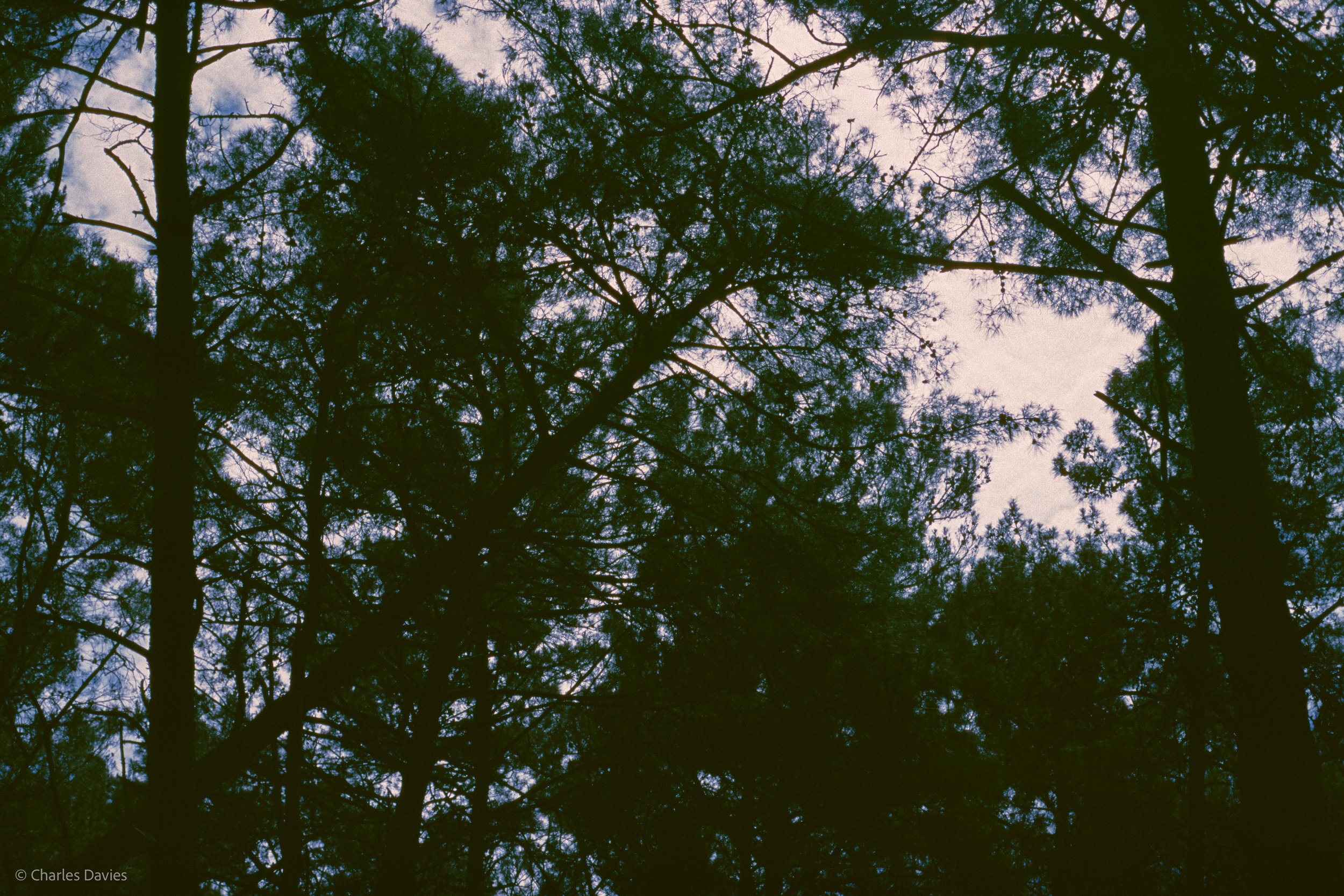  Image 30 - Aperture Priority 