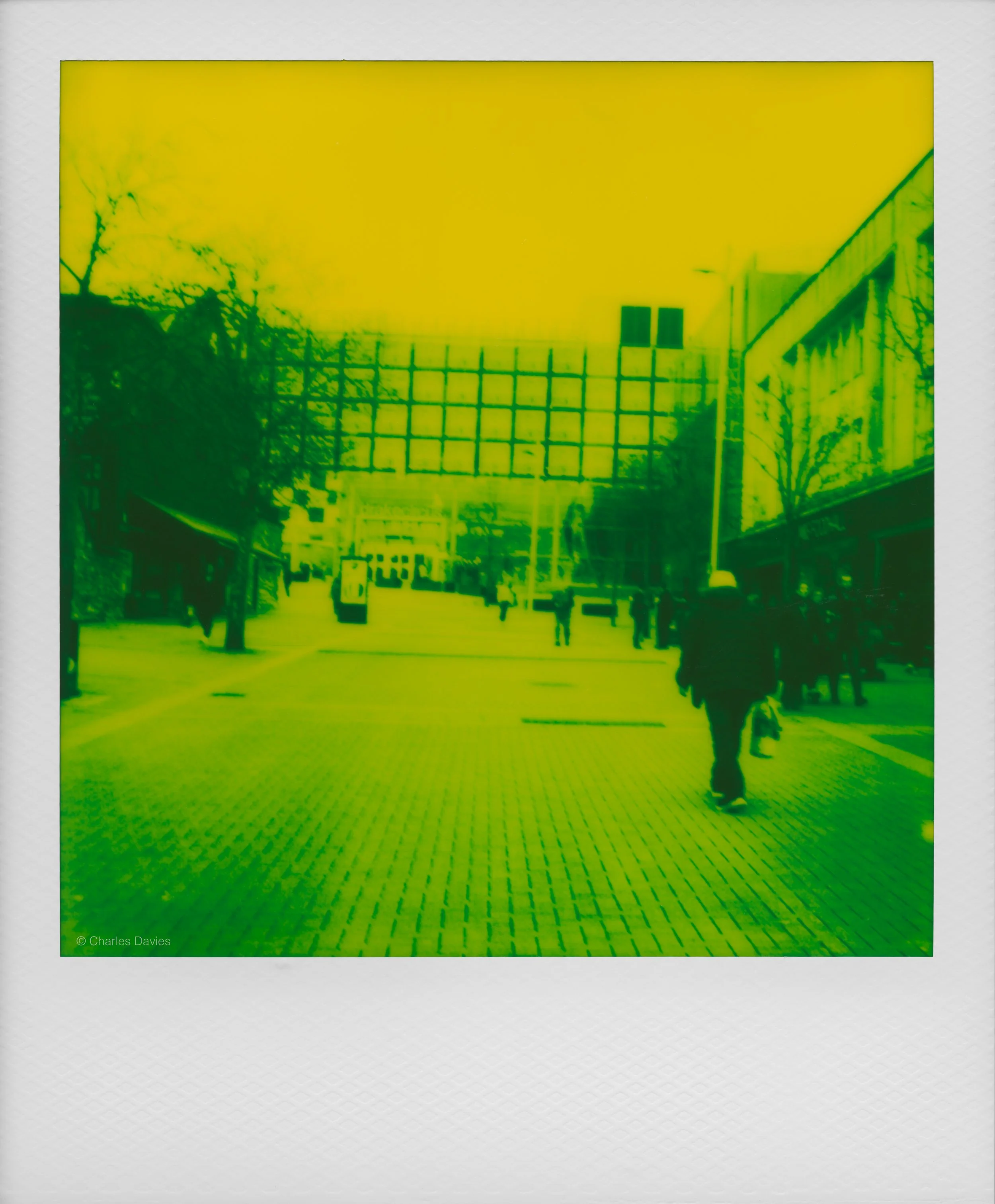 35 - 2025 - Polaroid SX-70 Sonar.jpg