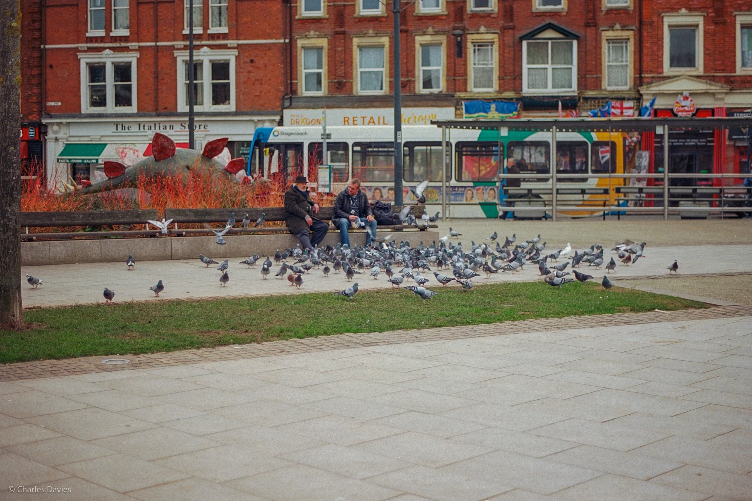 Roll 22 - 2025 - Europe - United Kingdom - Exmouth - Kodak Ektar 100 - Contax RTS - 35mm - Film - Colour