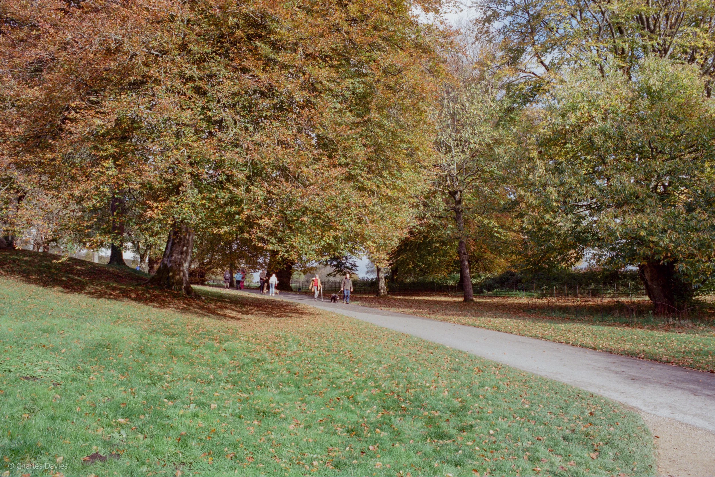006.jpg