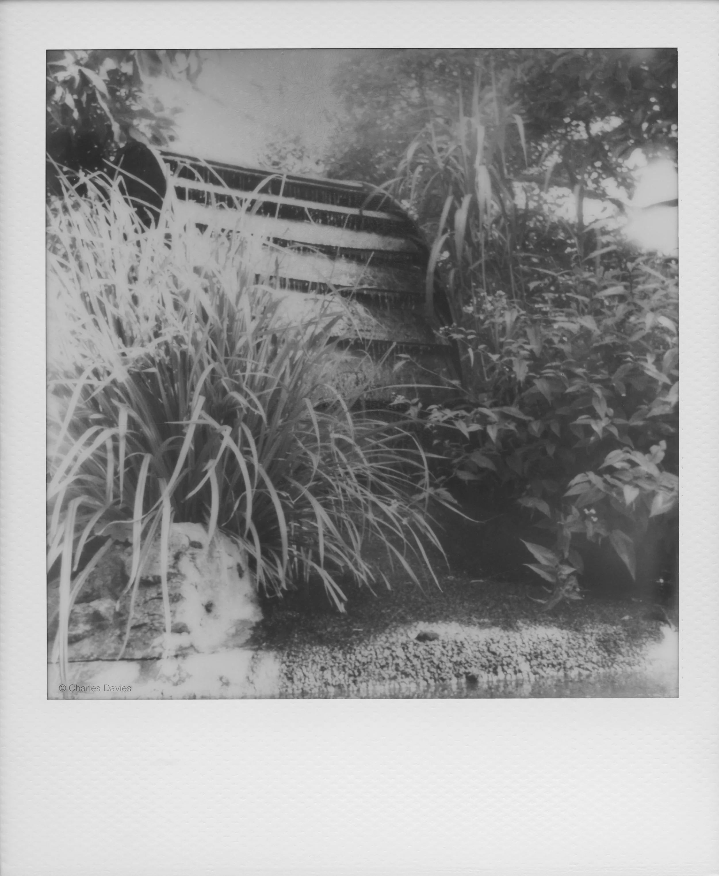 24 - 2022 - Polaroid Now.jpg