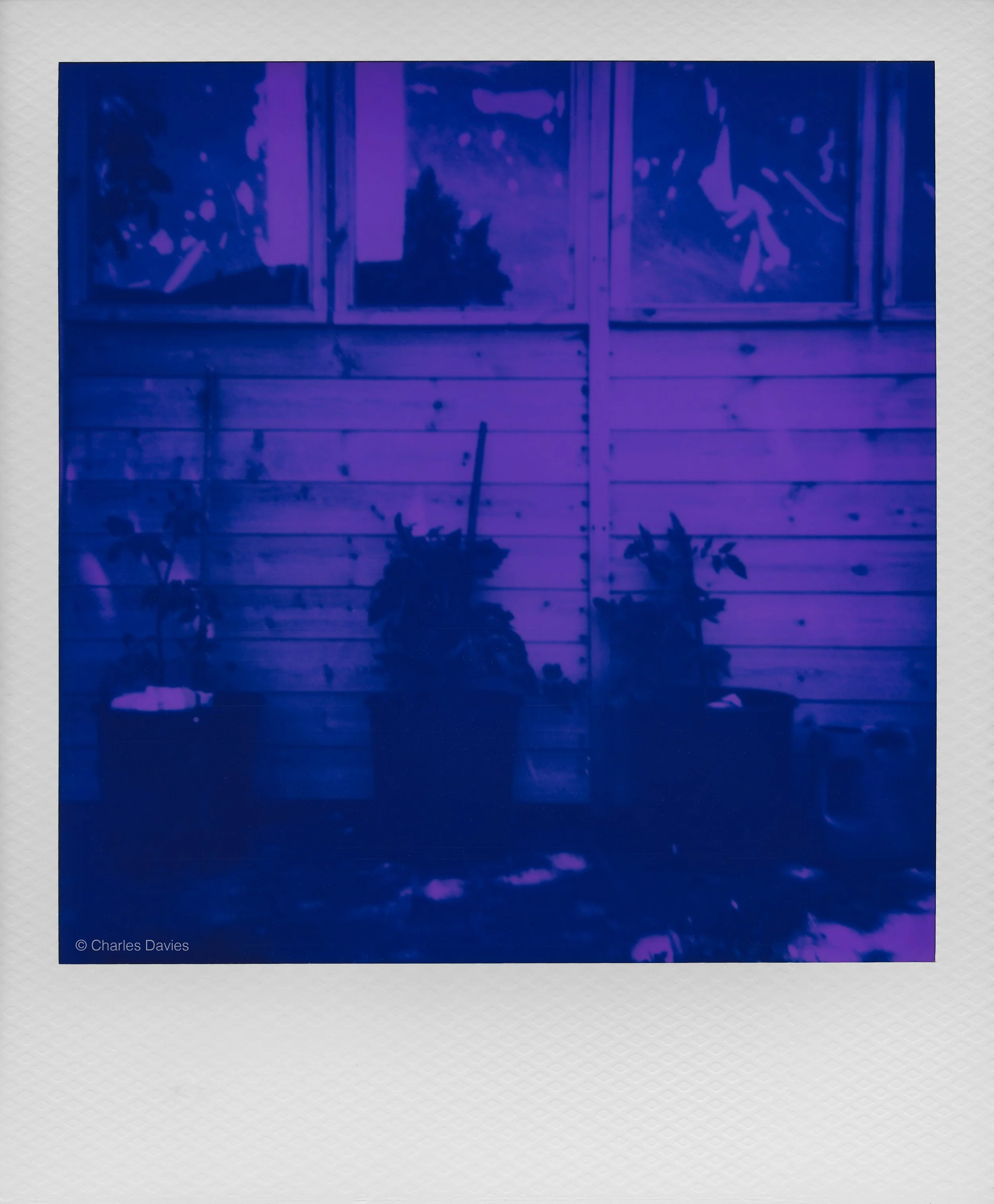 015 - 2026 - Polaroid Autofocus 660.jpg