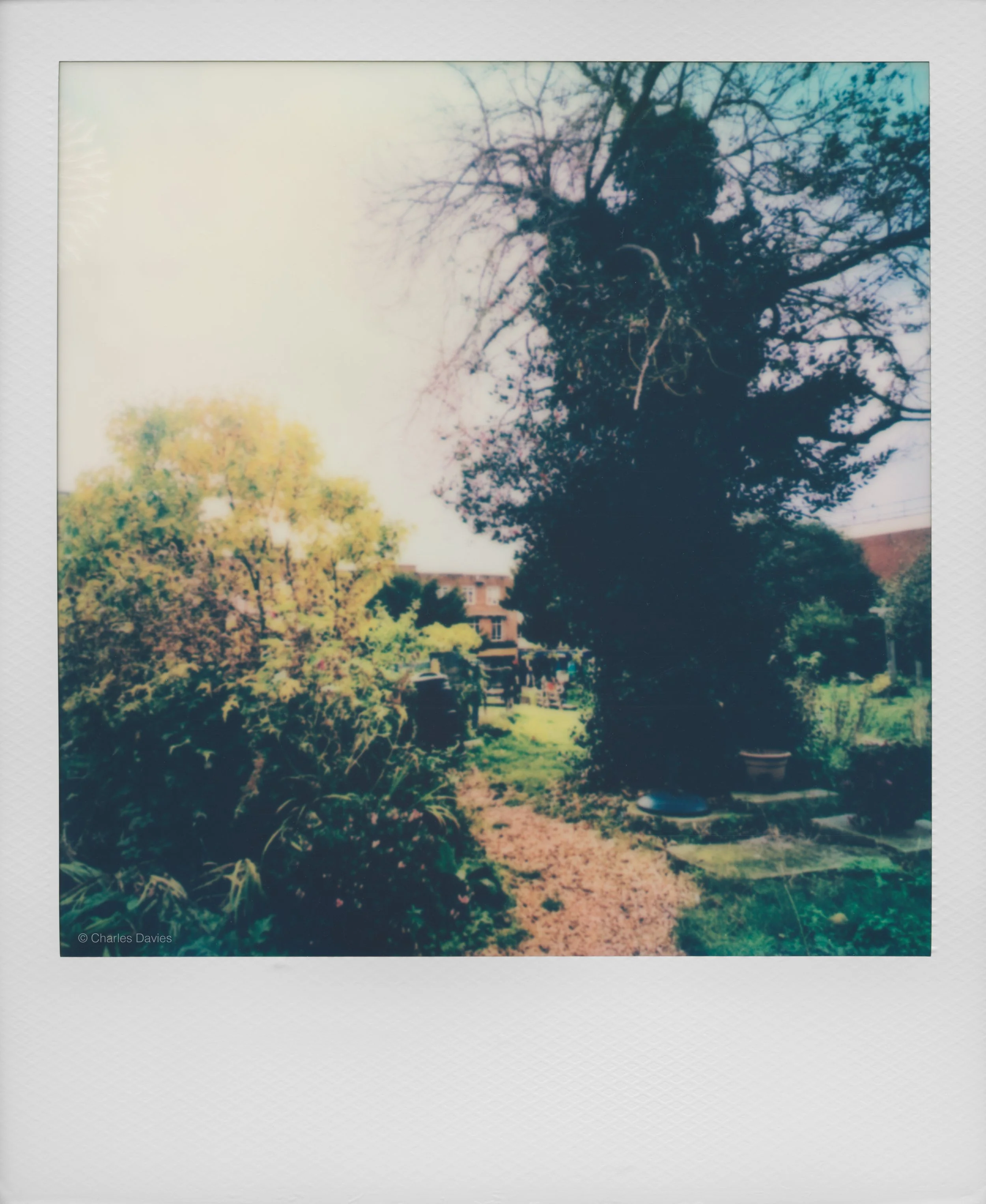 45 - 2022 - Polaroid Lab.jpg