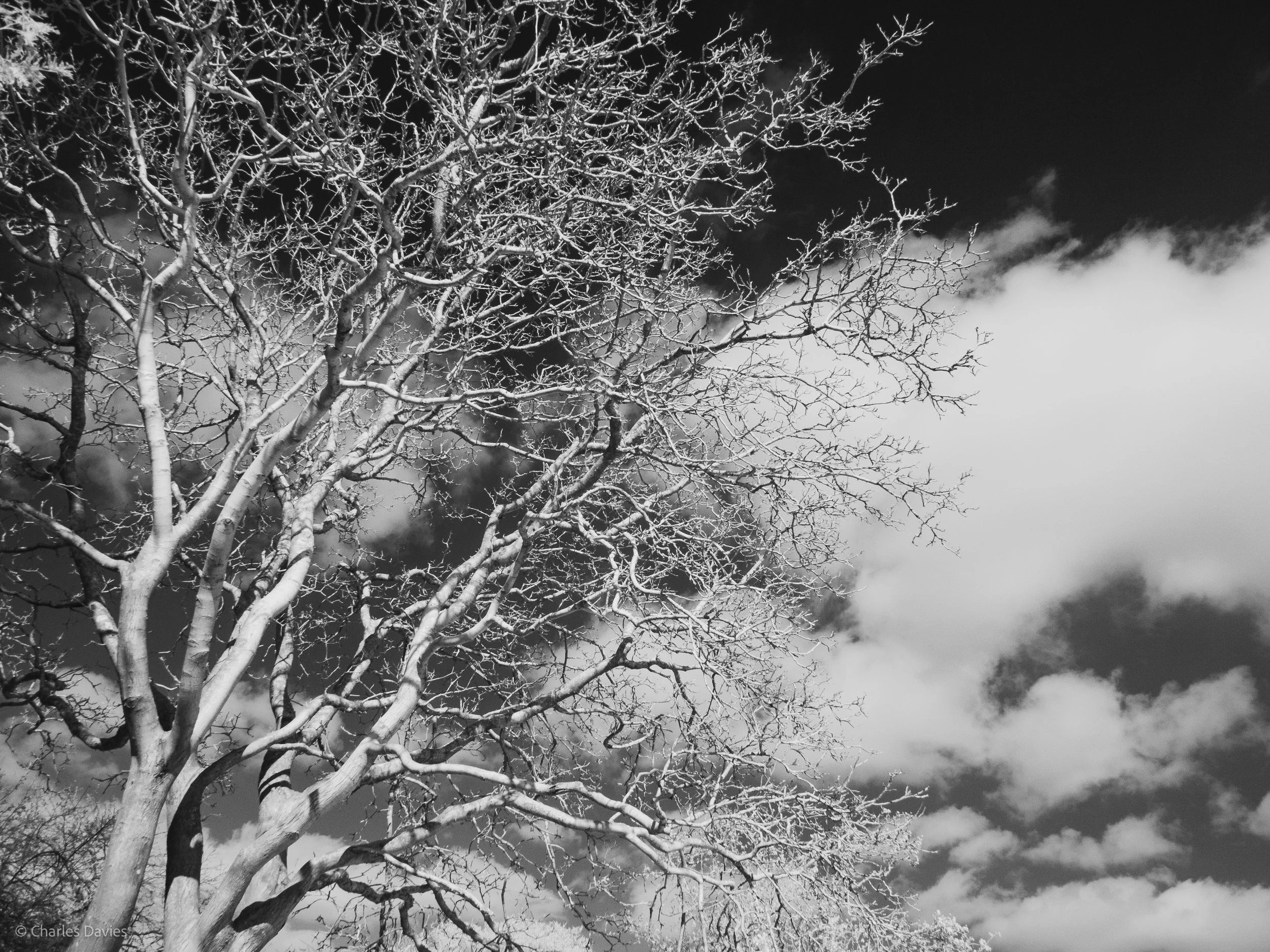 Manual - ISO 100 + F/8 + 1/500th - Home 