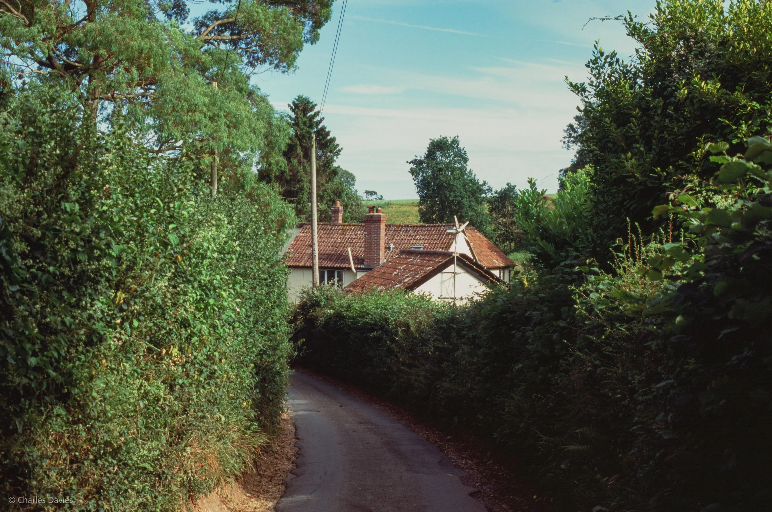 Roll 41 - 2025 - Europe - United Kingdom - Shute - Fujifilm Velvia 100 - Contax RTS - 35mm - Film - Colour - Colour Reversal/Slide Film