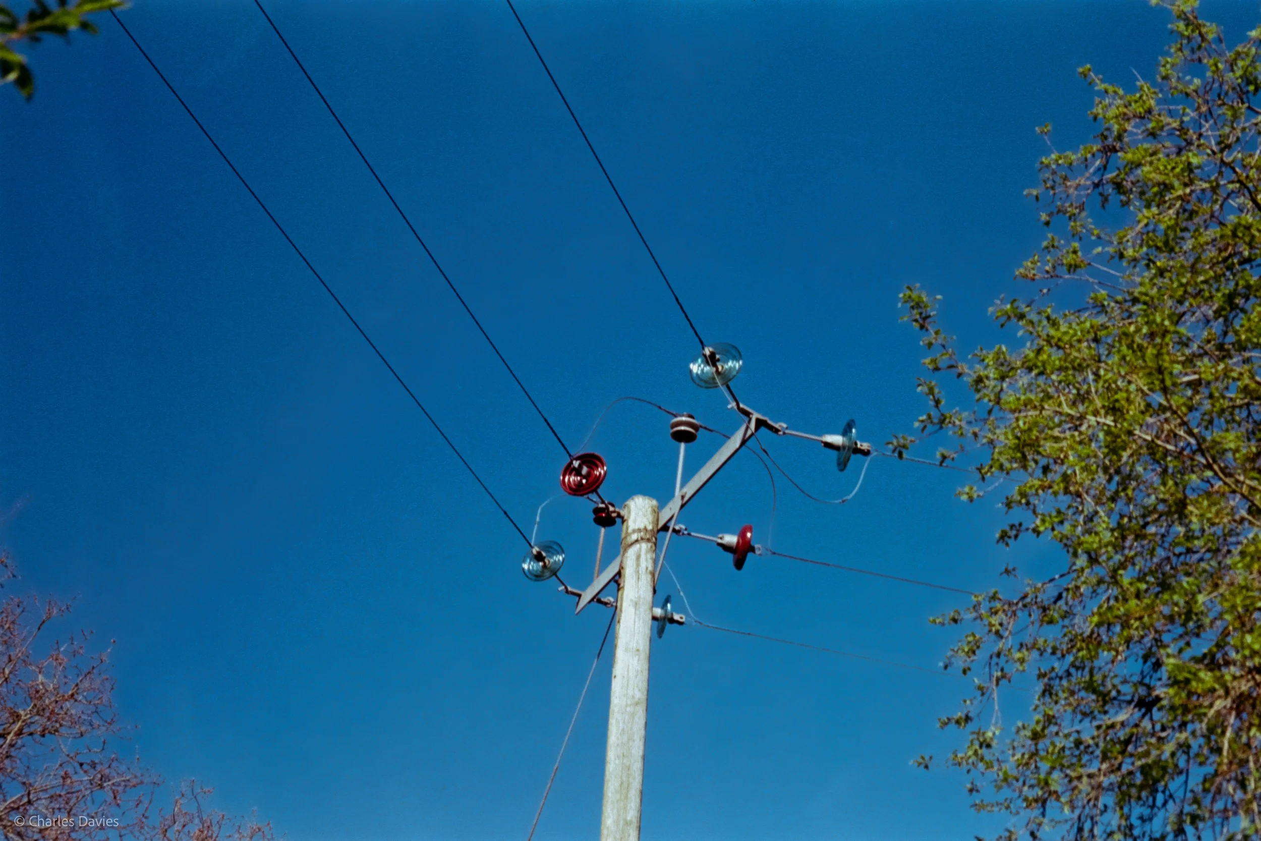 Shot 21 - Auto - Seaton Wetlands 