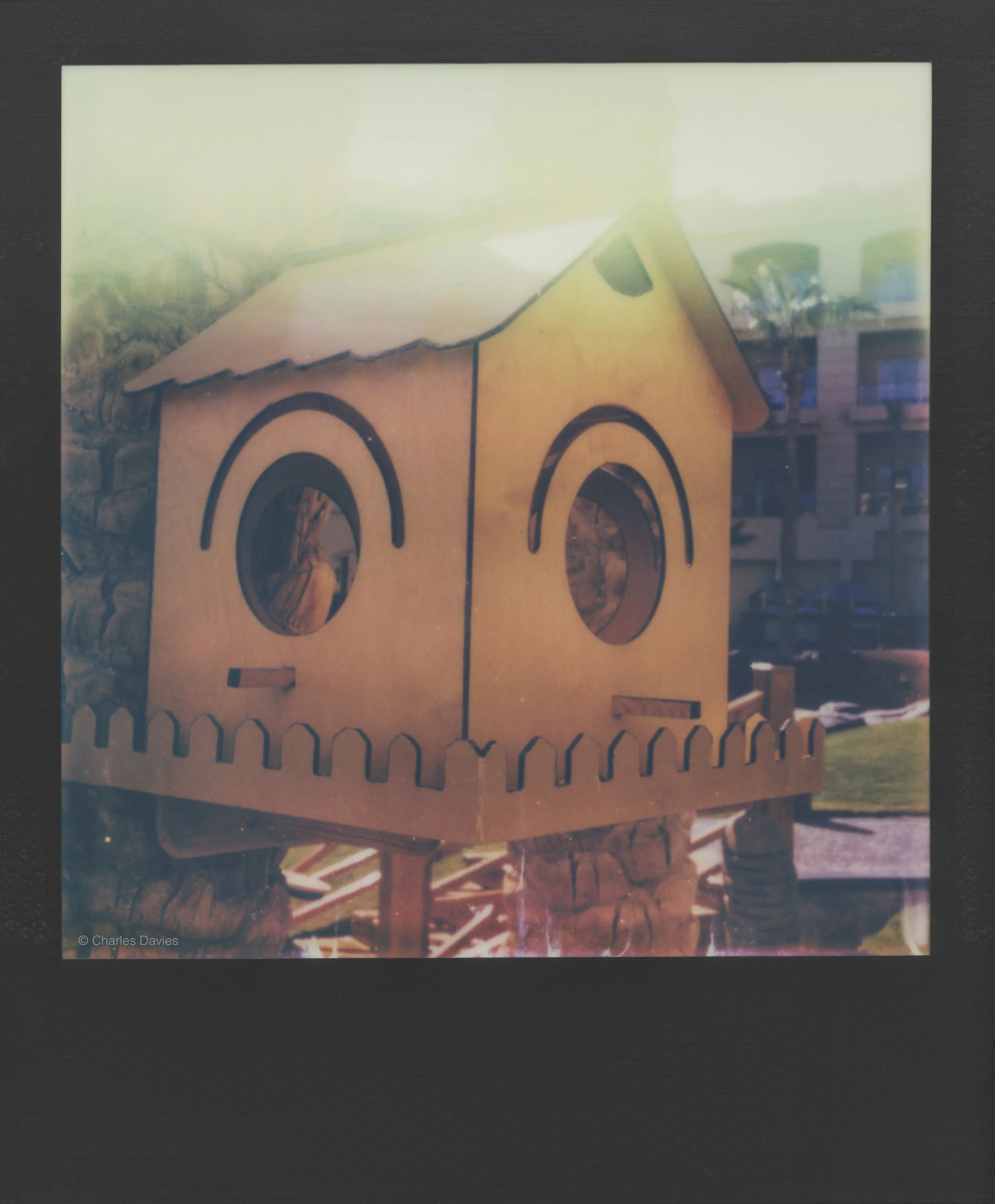 27 - 2023 - Polaroid SX-70.jpg