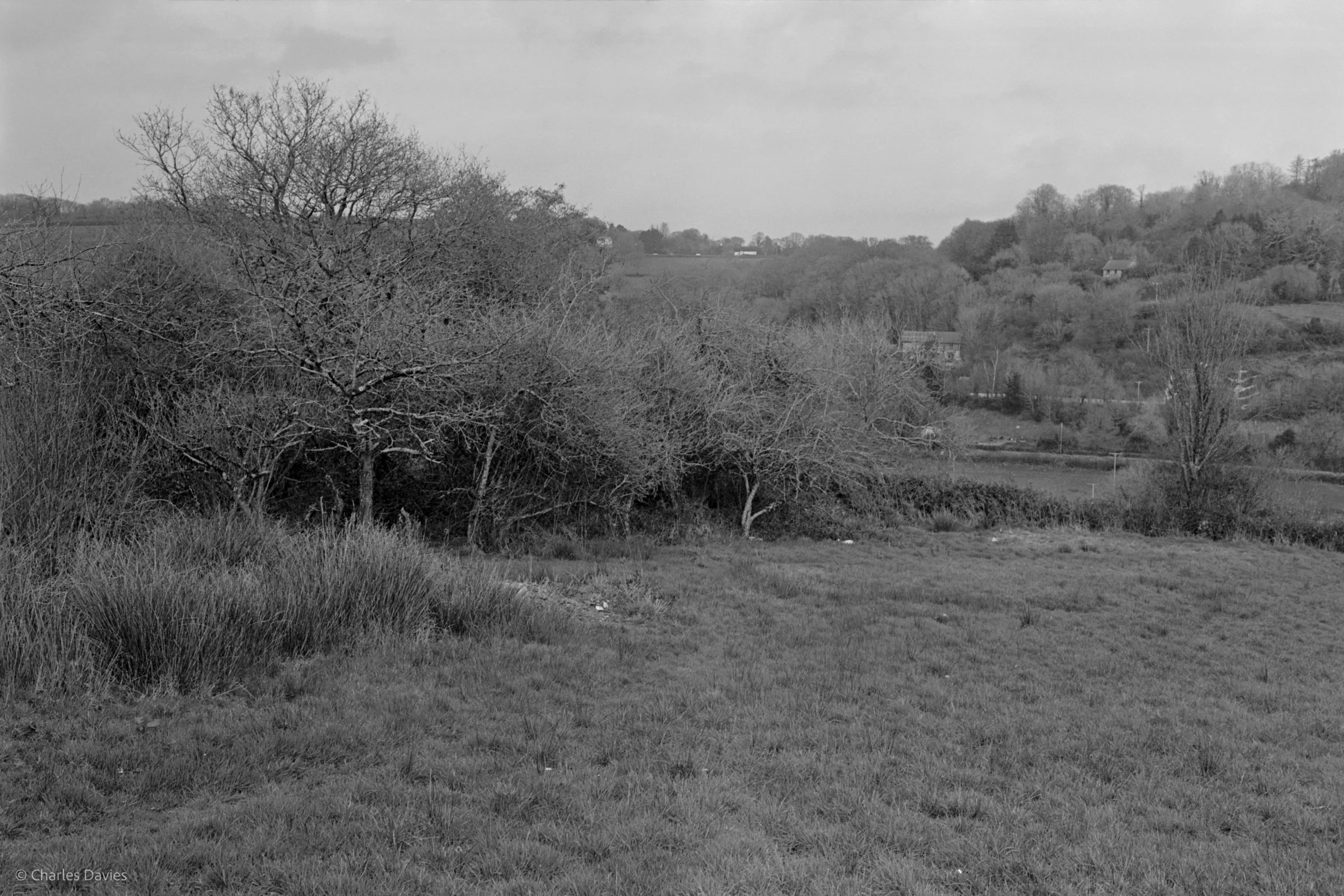 Shot 33 - F/8 + 1/250th - Home 