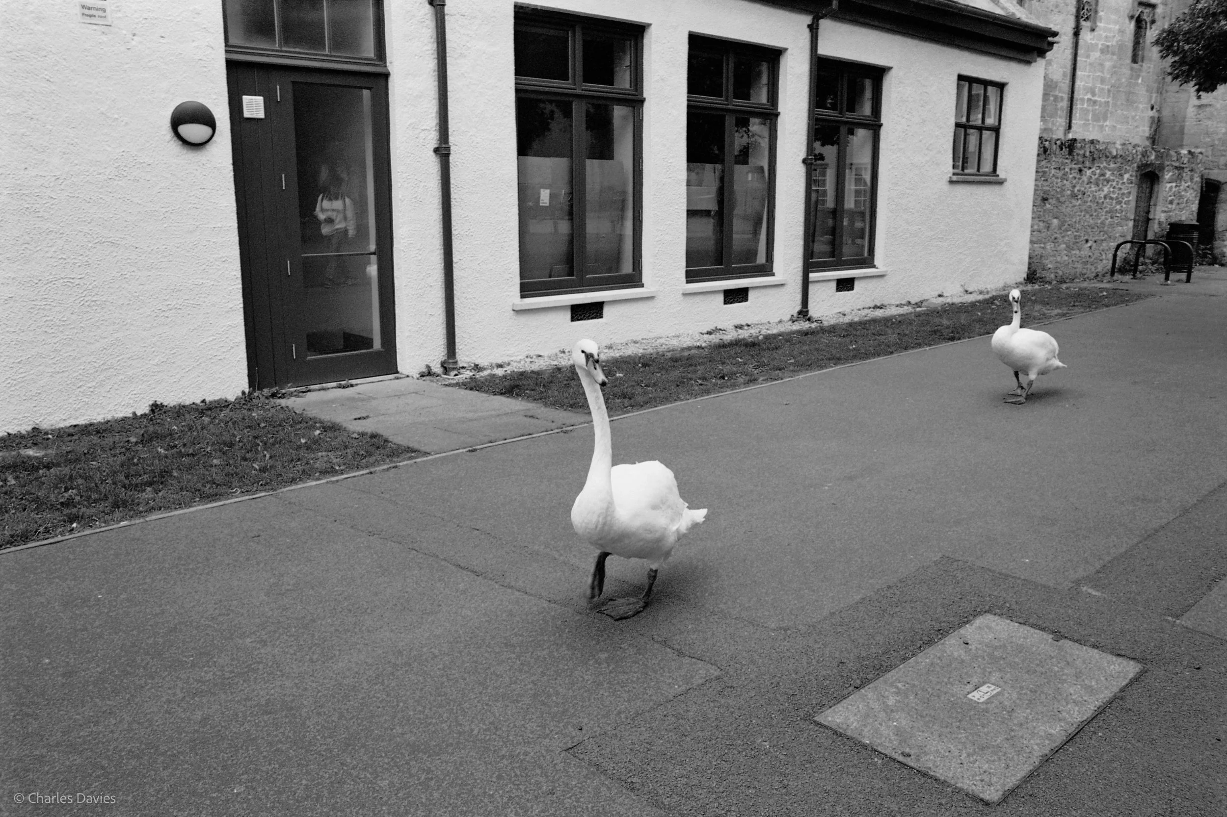 027.jpg