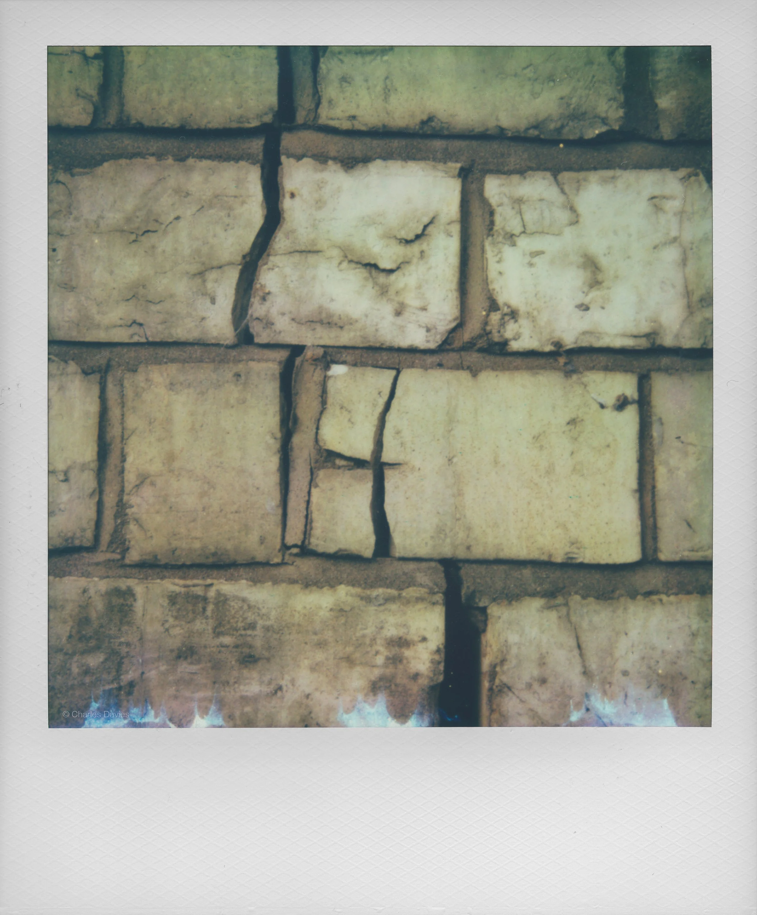 135 - 2022 - Polaroid SX-70.jpg