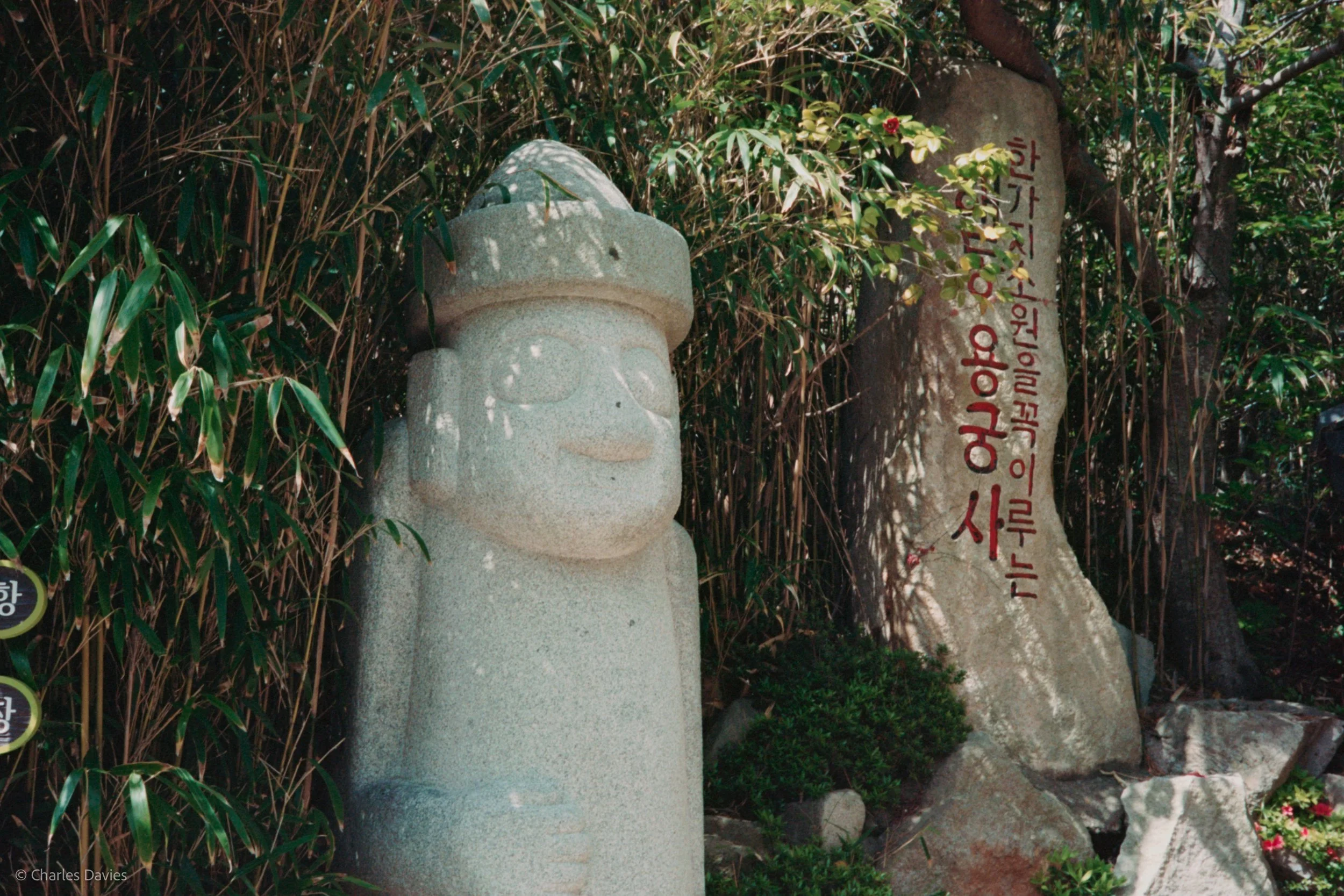 Roll 6 - 2023 - South East Asia - South Korea - Busan - Kodak Portra 160 - Olympus 35DC - 35mm - Film - Colour 