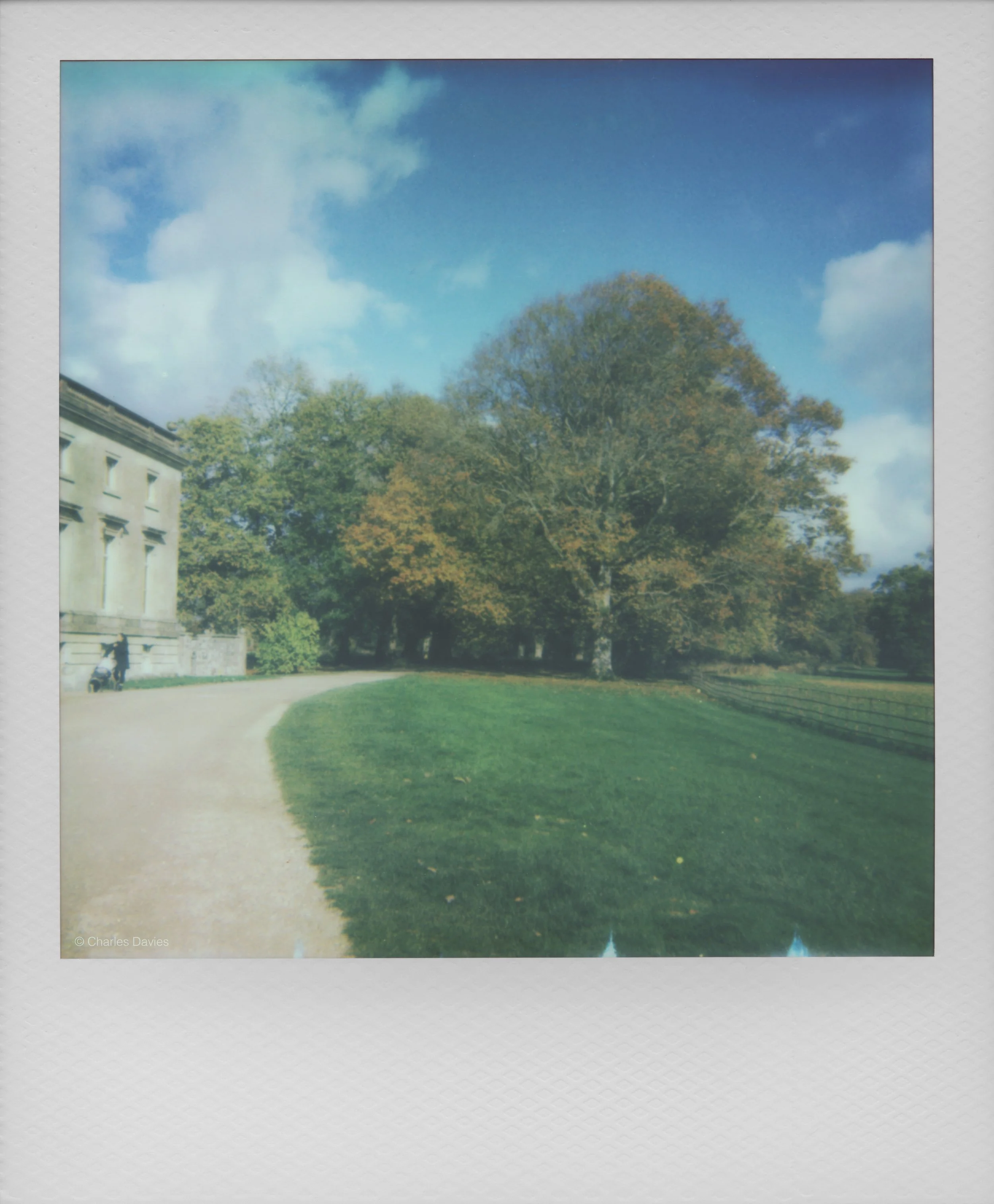 94 - 2025 - Polaroid Autofocus 660.jpg