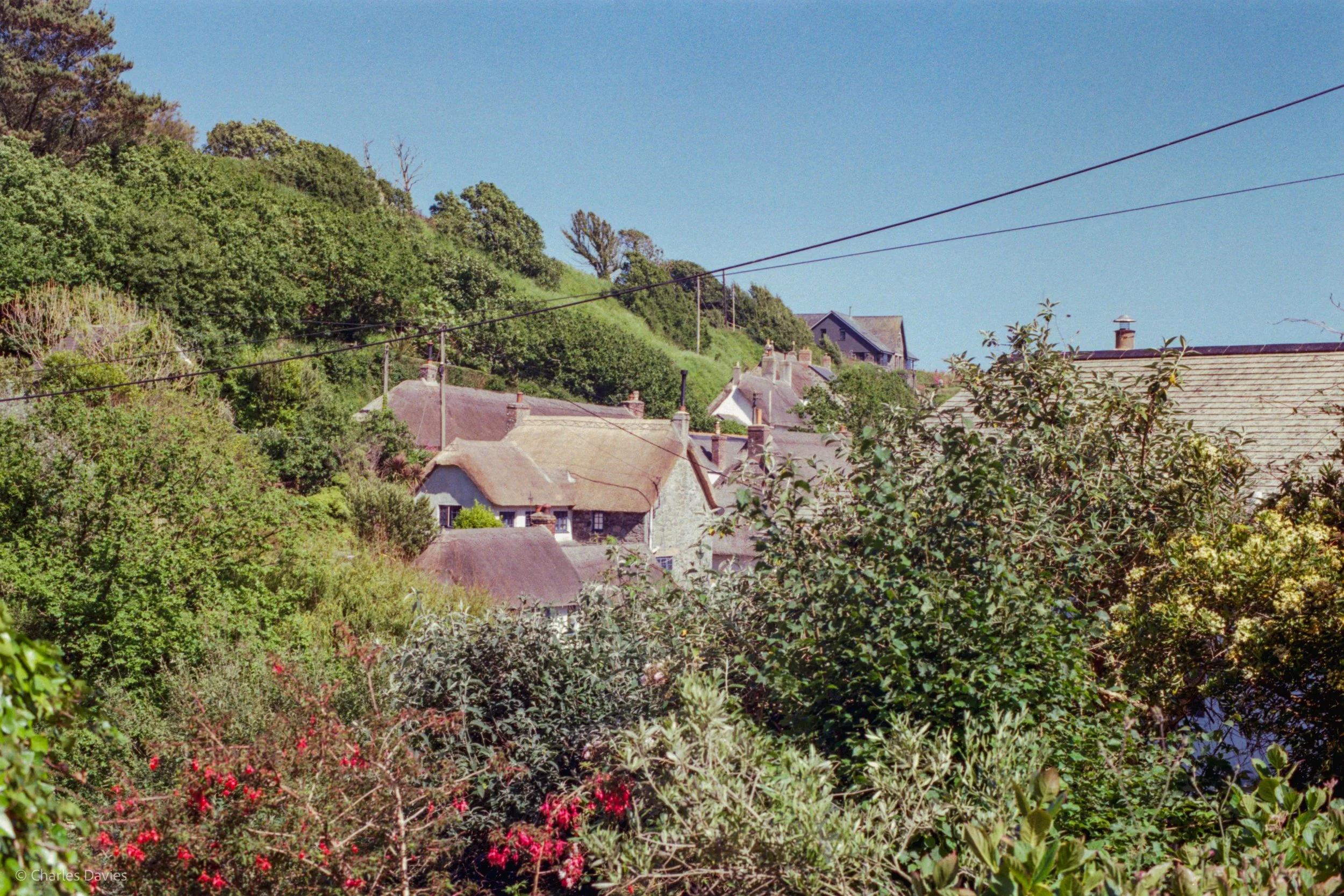 Roll 36 - 2025 - Europe - United Kingdom - Cadgwith - Kodak Pro Image 100 - Contax RTS - 35mm - Film - Colour