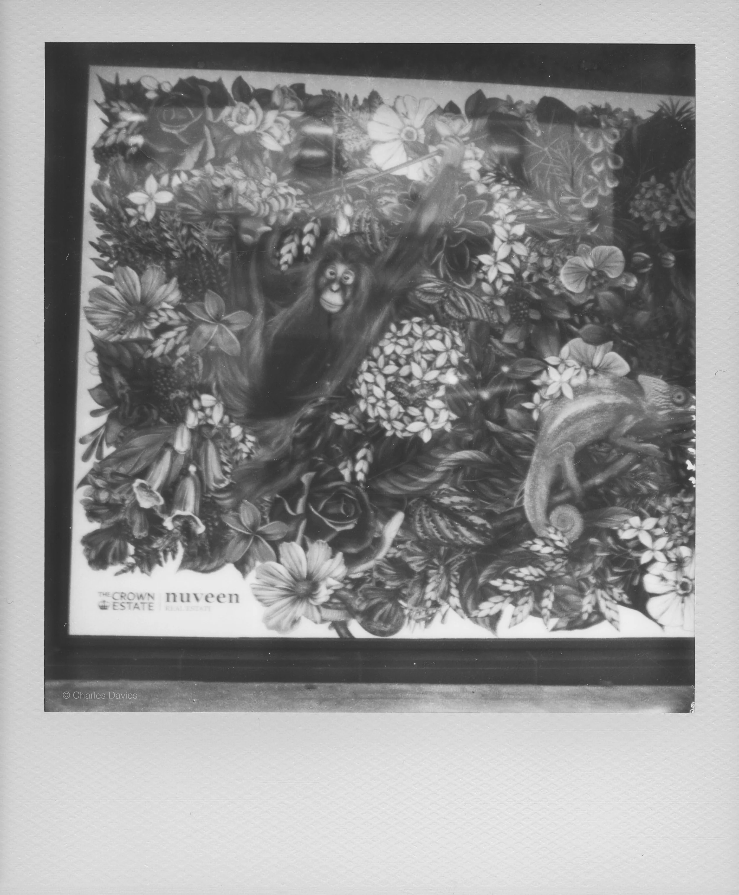 118 - 2022 - Polaroid SX-70 Sonar.jpg