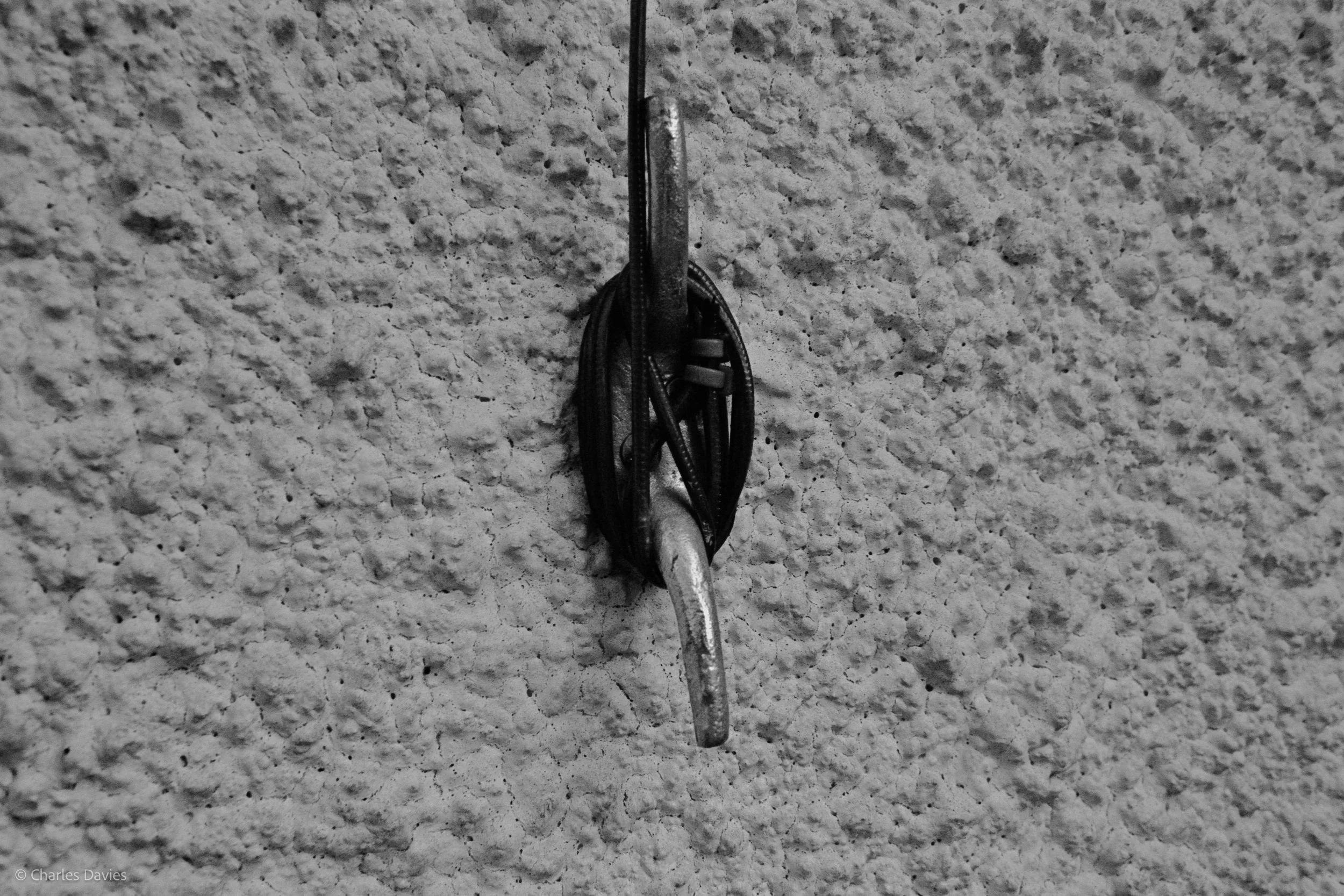 Shot 26 - Shutter Priority - Shute 