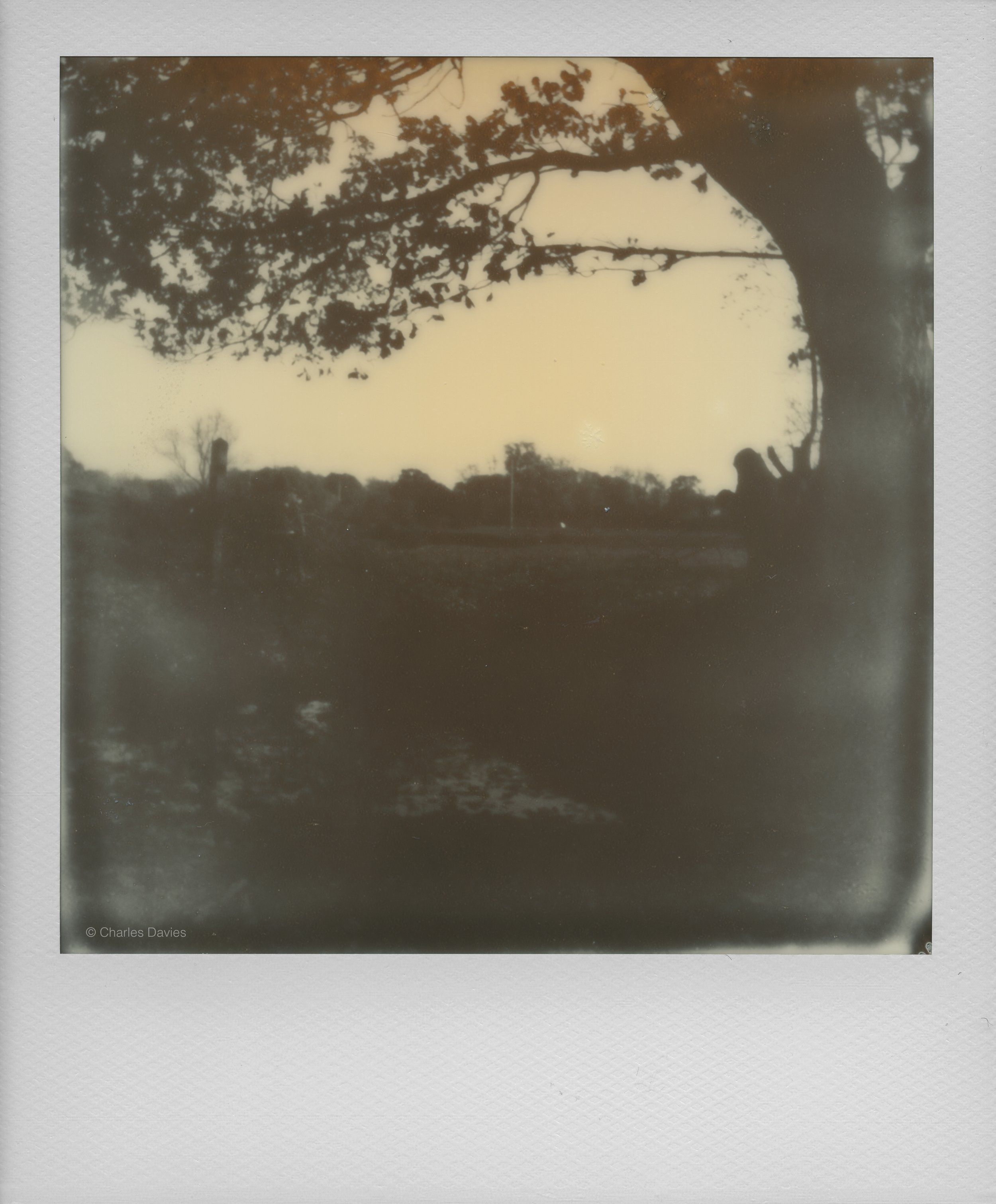 110 - 2022 - Polaroid Now (aged).jpg