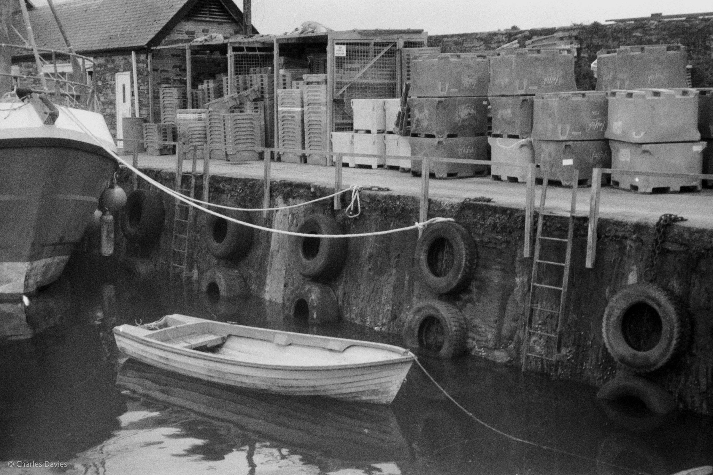 Image-6.jpg