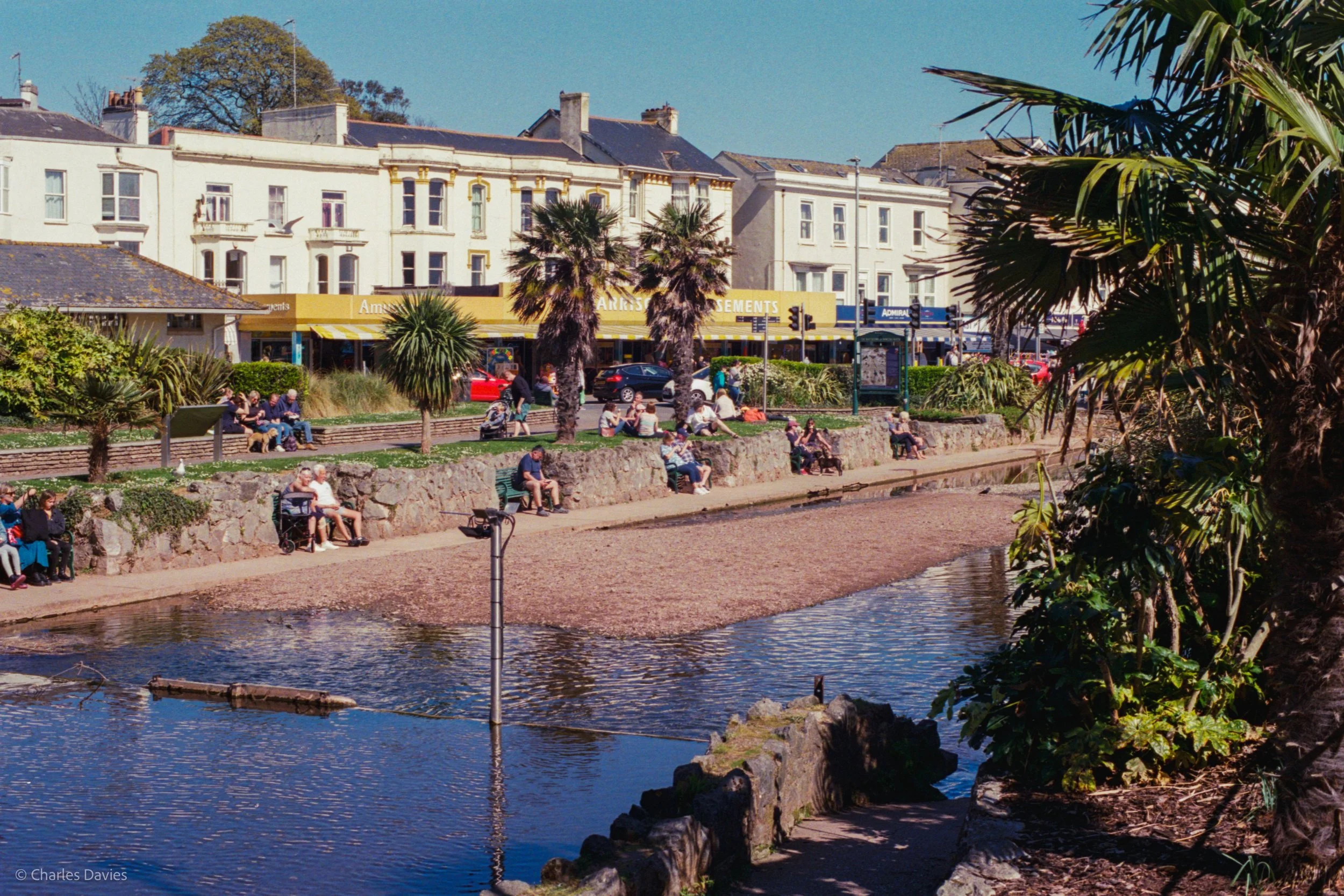 Roll 26 - 2025 - Europe - United Kingdom - Dawlish - Kodak UltraMax 400 - Contax RTS - 35mm - Film - Colour 