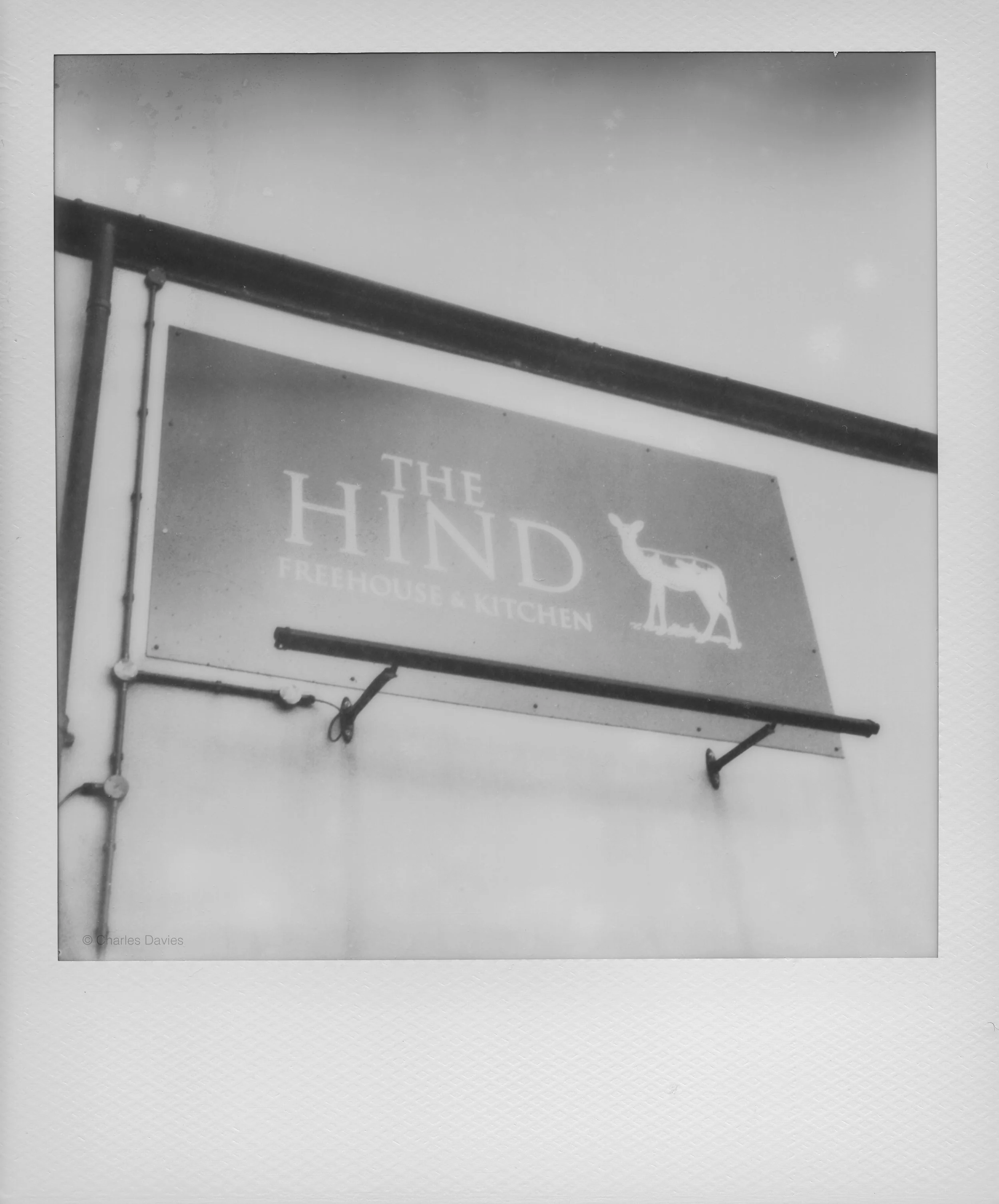 116 - 2022 - Polaroid SX-70.jpg
