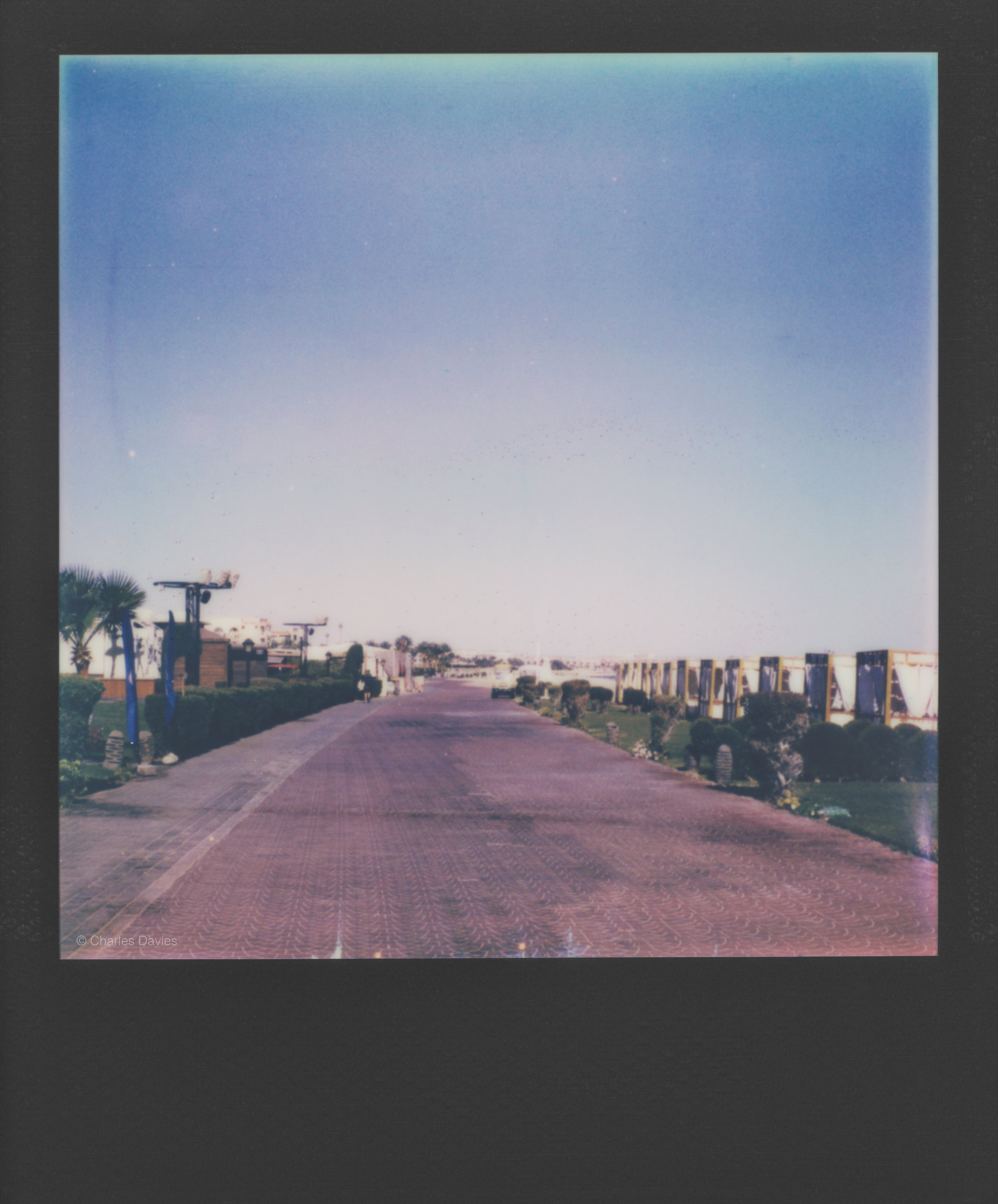 32 - 2023 - Polaroid SX-70.jpg