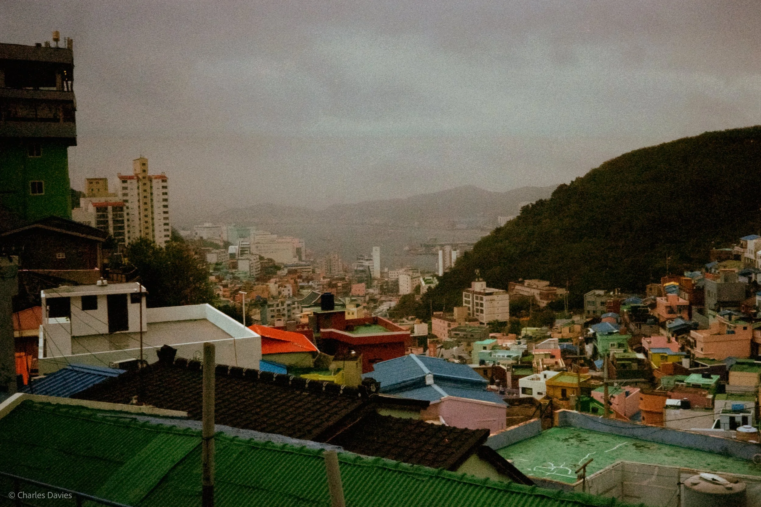Roll 7 - 2023 - South East Asia - South Korea - Busan - Kodak UltraMax 400 - Olympus 35DC - 35mm - Film - Colour 