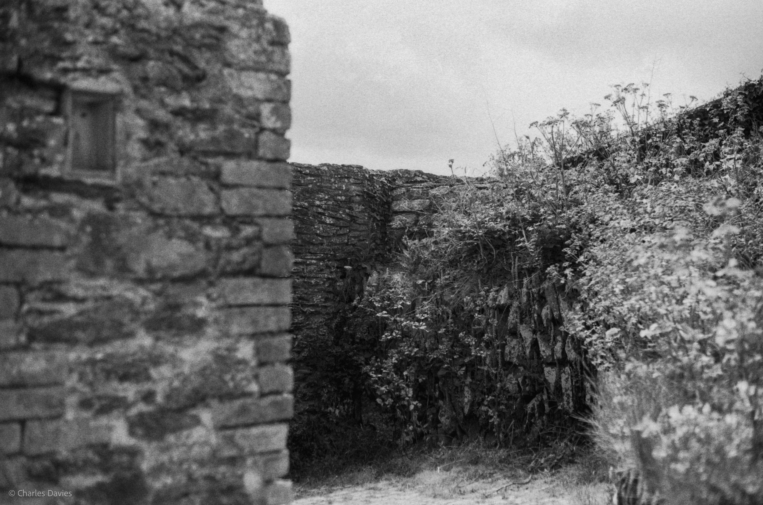 Roll 33 - 2025 - Europe - United Kingdom - Pendennis Point - Fomapan 400 - Contax RTS - 35mm - Film - B&W