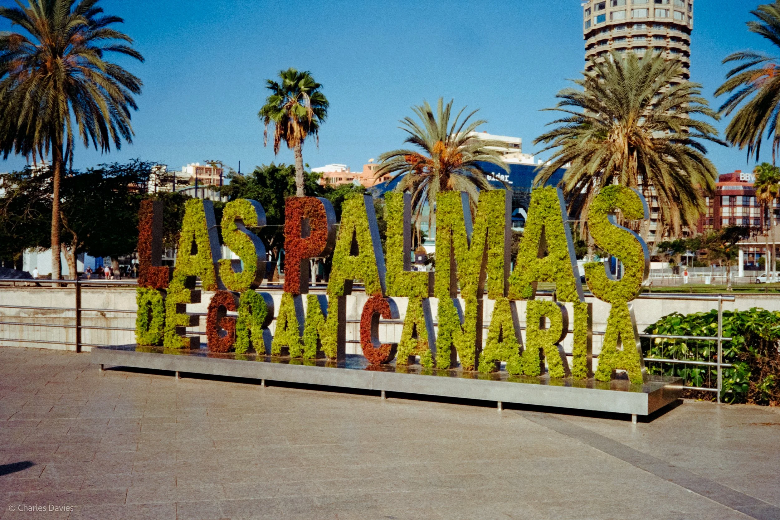Roll 15 - 2024 - Europe - Spain - Las Palmas de Gran Canaria - Kodak Gold 200 - Olympus 35DC - 35mm - Film - Colour 