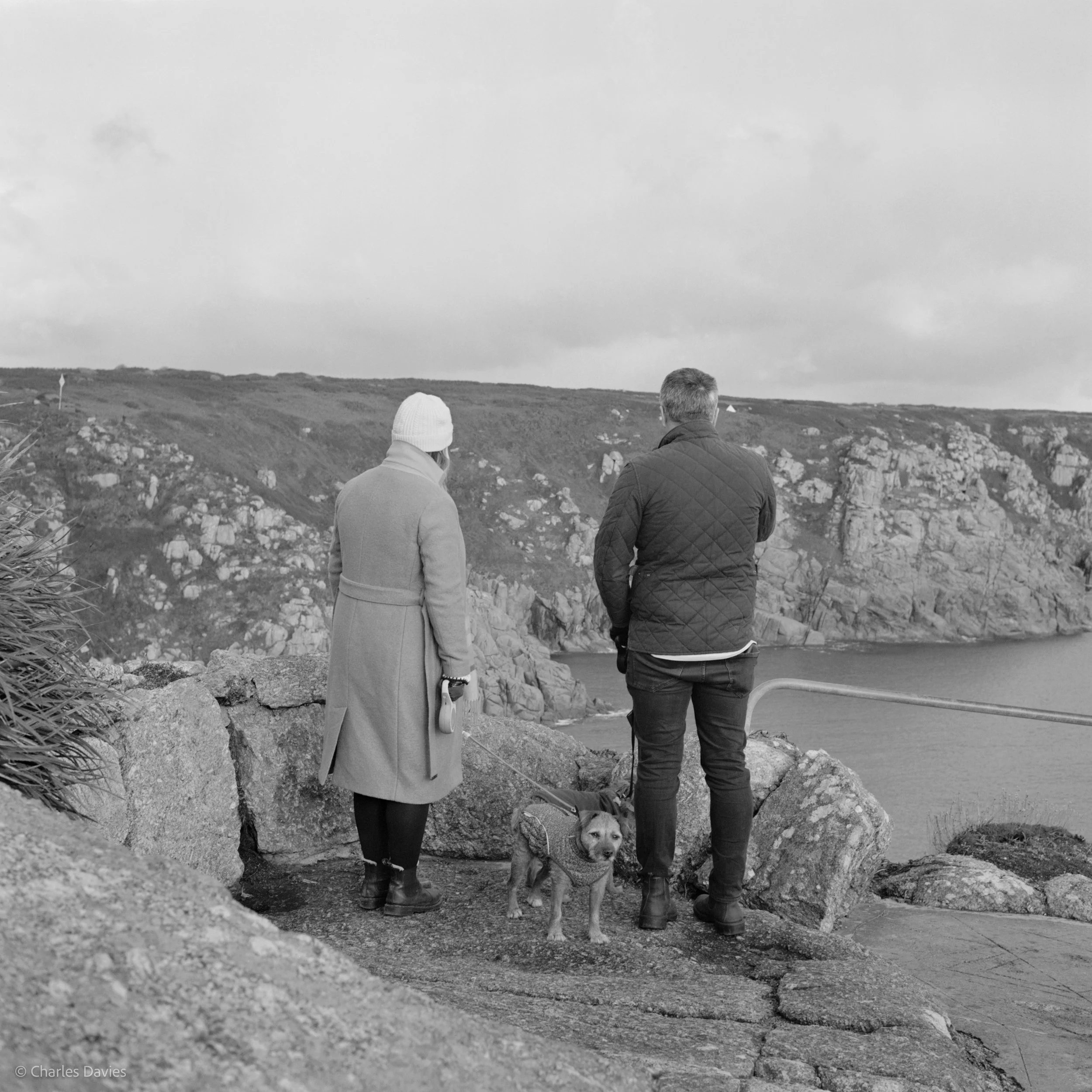 Image-3.jpg