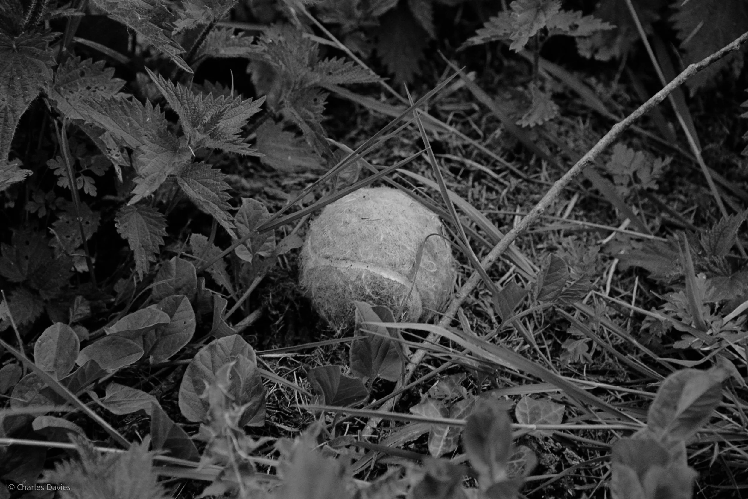 Shot 16 - Shutter Priority - Shute 
