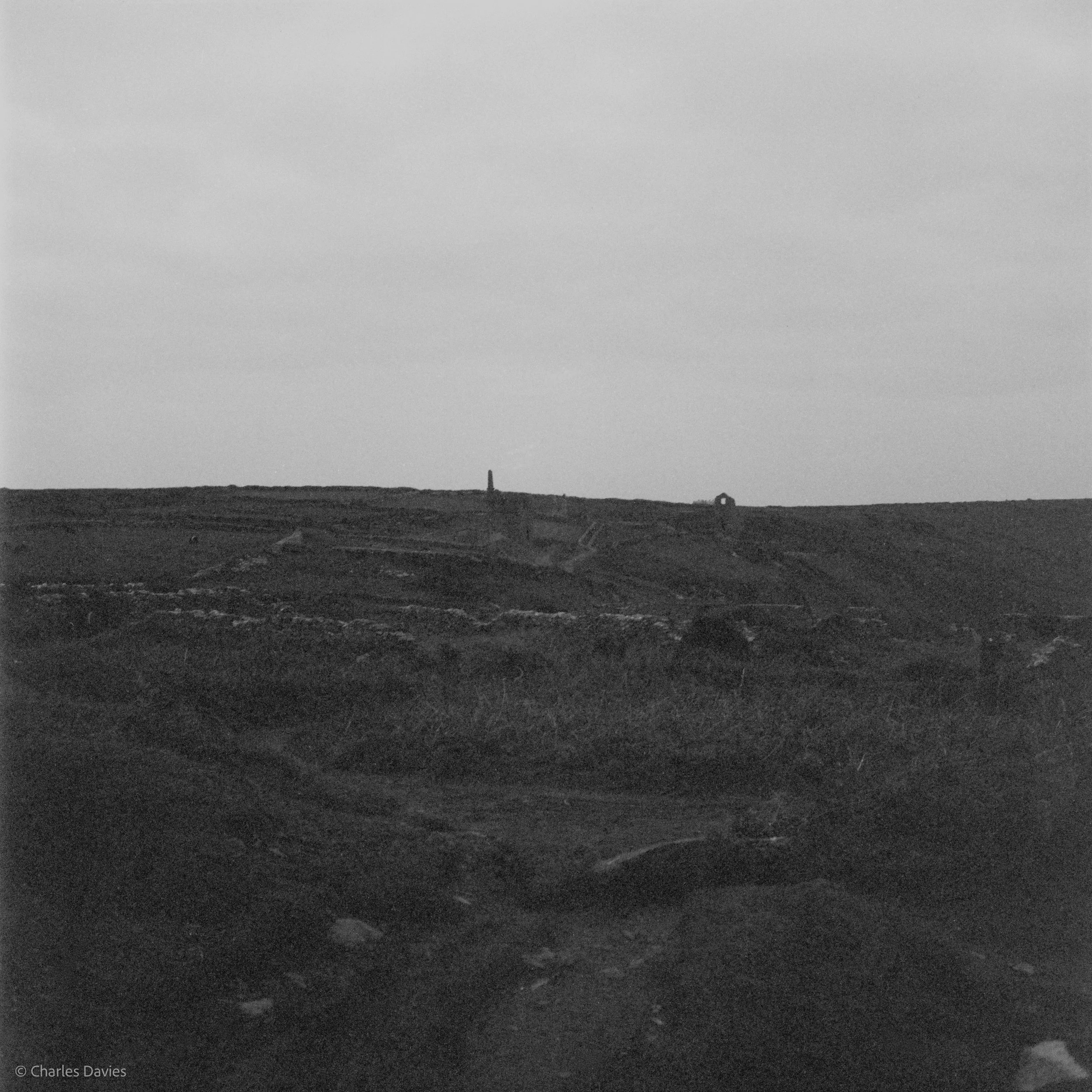 Image-7.jpg