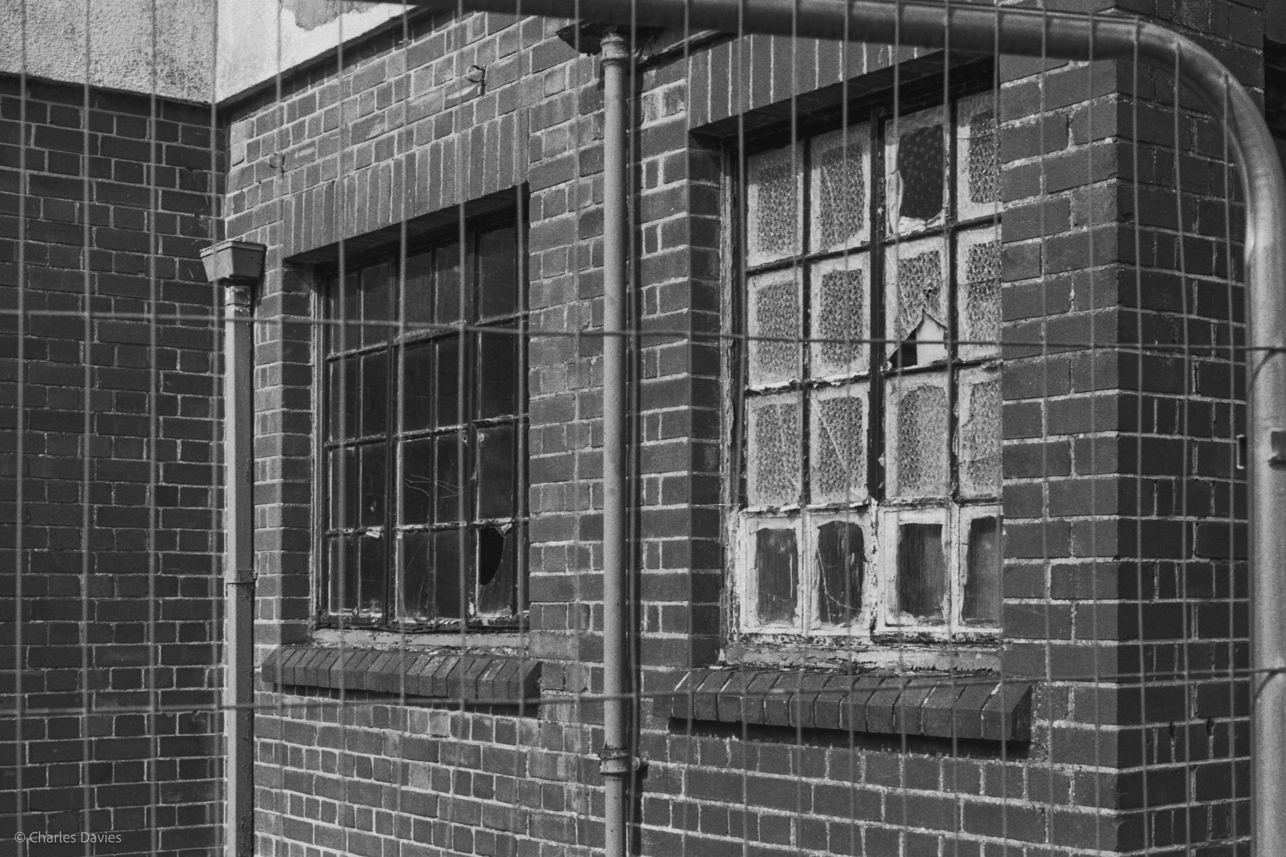Roll 28 - 2025 - Europe - United Kingdom - Musbury - Kentmere Pan 400 - Minolta X-300 - 35mm - Film - B&W 