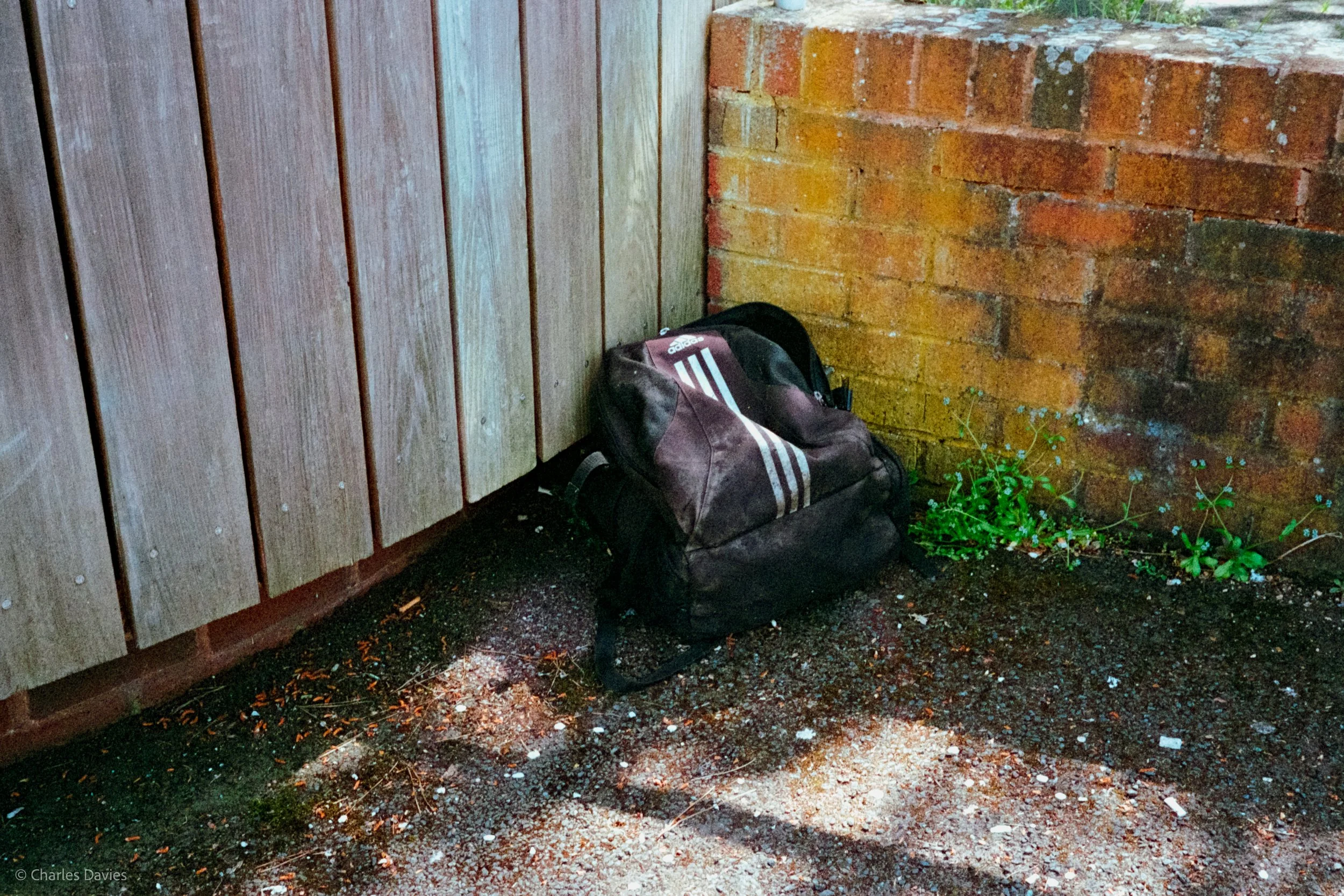 Roll 10 - 2023 - Europe - United Kingdom - Exeter - Kodak UltraMax 400 - Olympus 35DC - 35mm - Film - Colour 