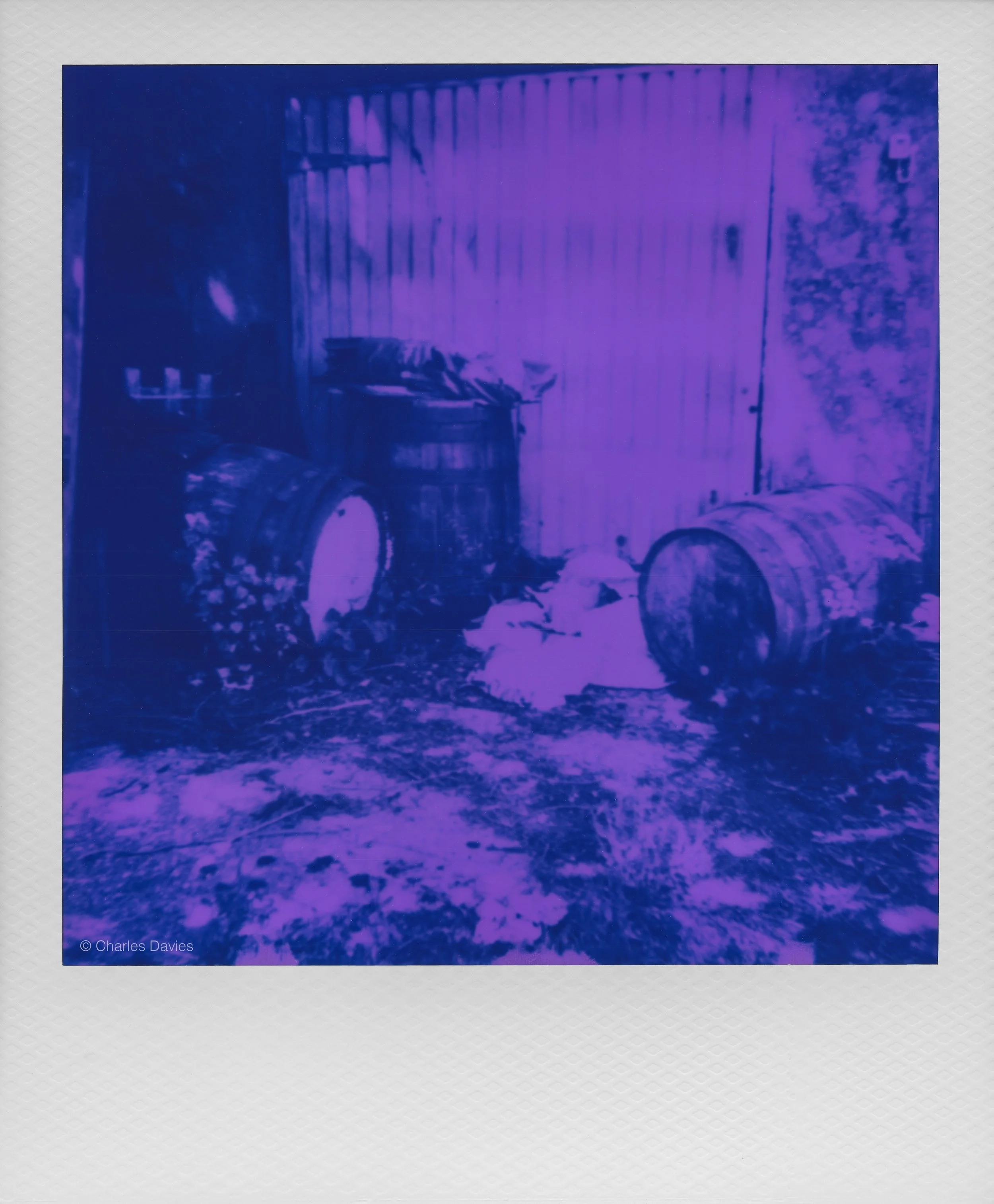 017 - 2026 - Polaroid Autofocus 660.jpg