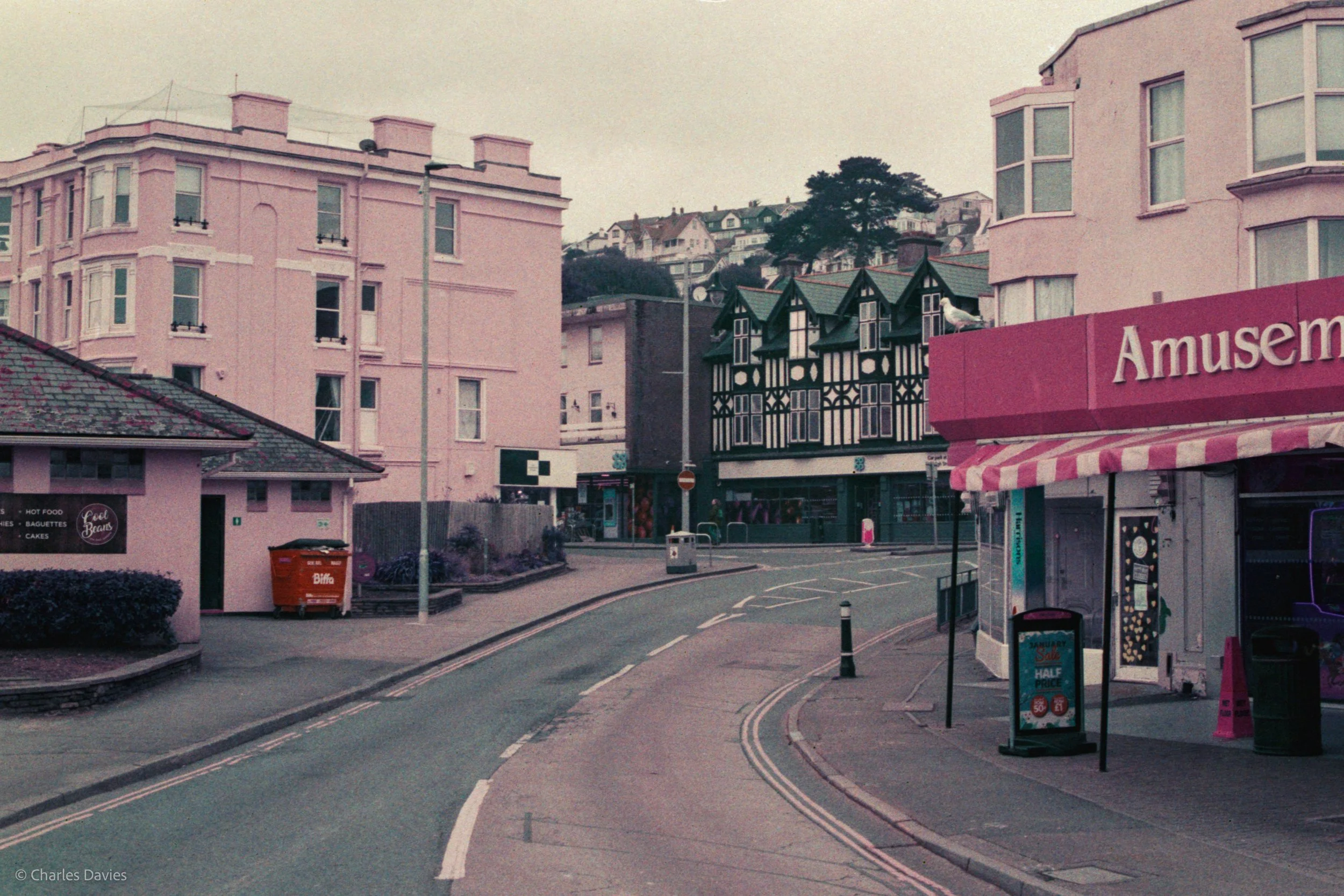 Roll 24 - 2025 - Europe - United Kingdom - Dawlish - Lomo Purple - Contax RTS - 35mm - Film - Colour